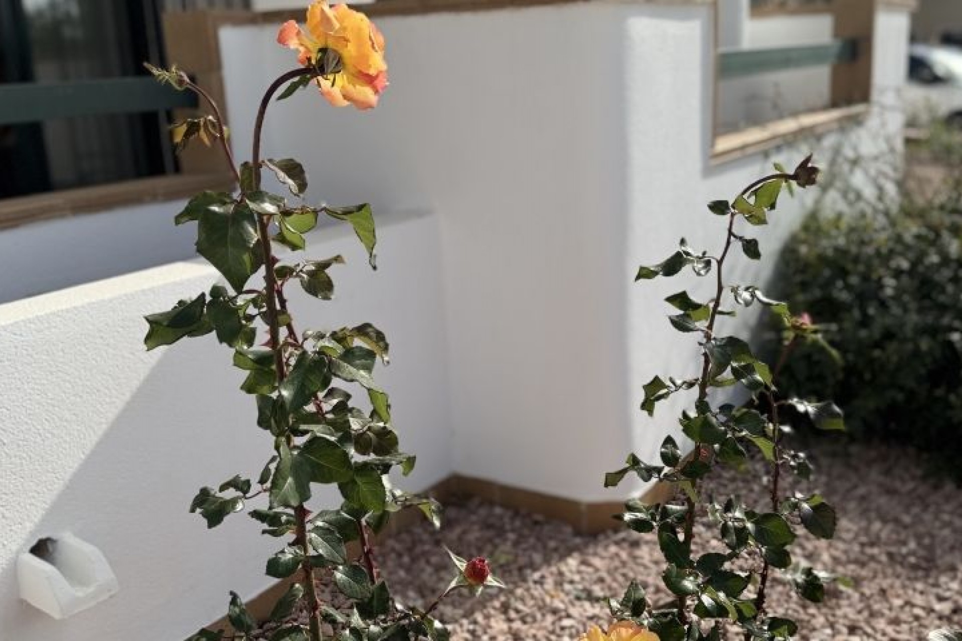 Återförsäljning - Apartment -
Orihuela Costa - Costa Blanca