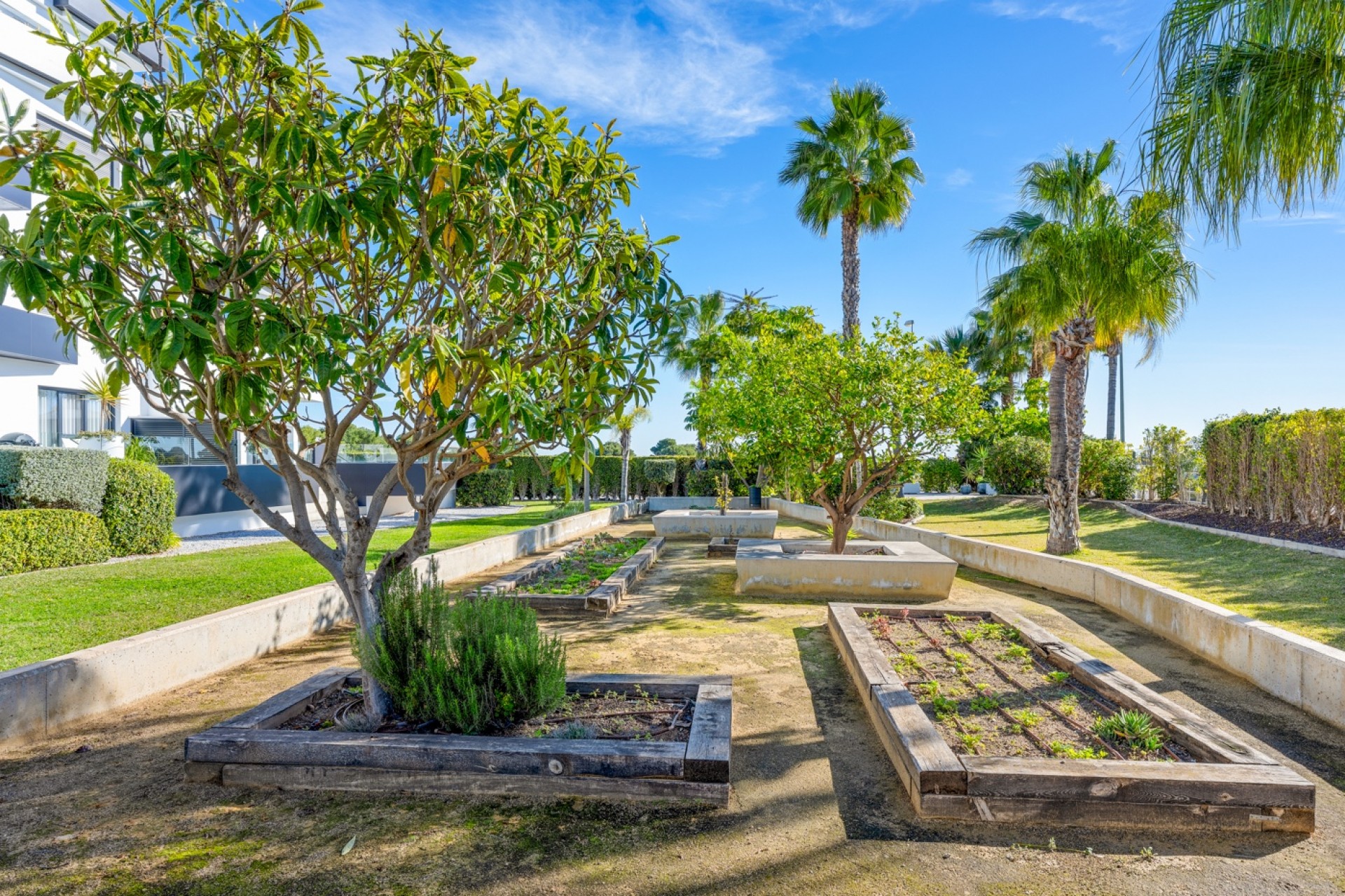 Återförsäljning - Apartment -
Orihuela Costa - Costa Blanca