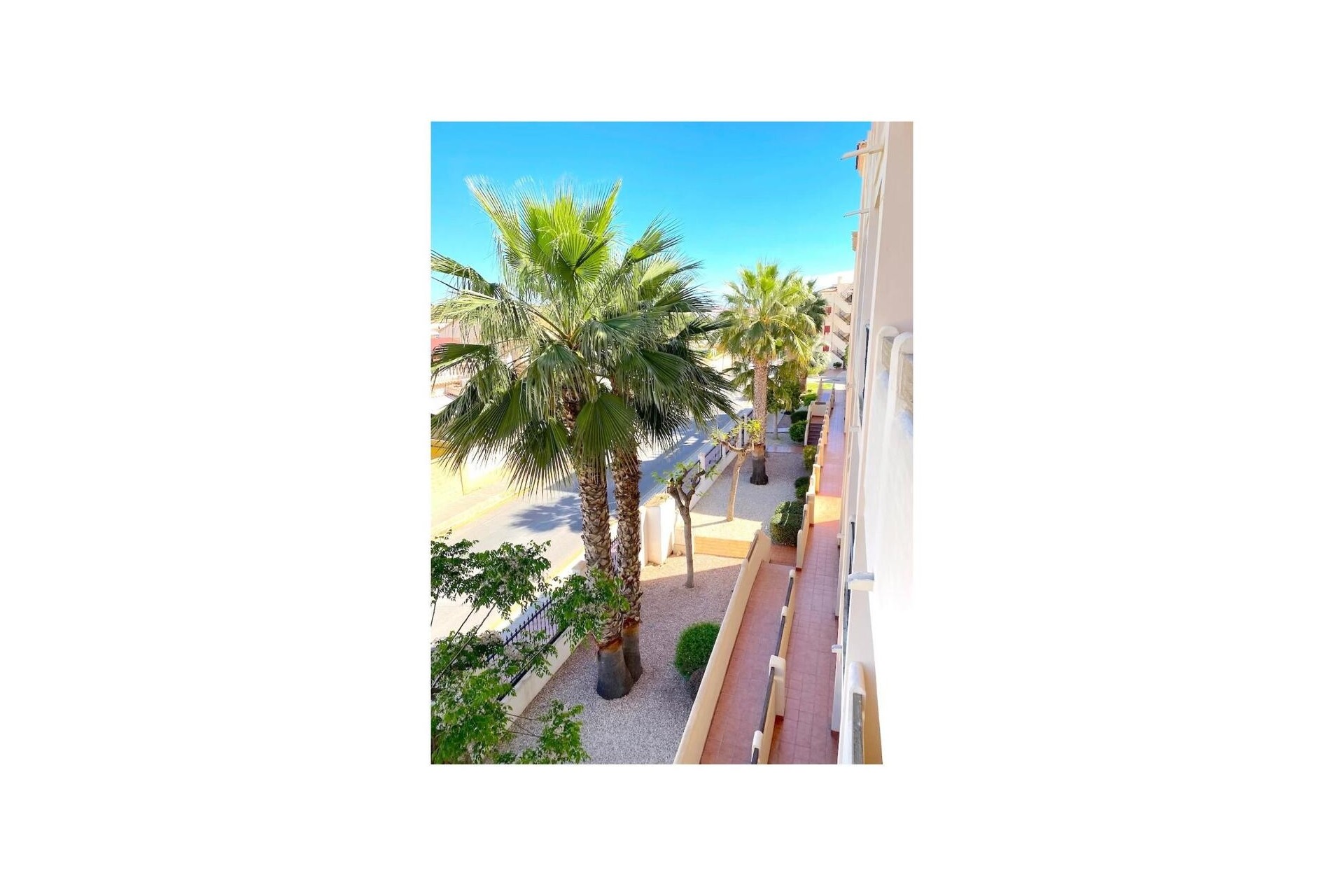 Återförsäljning - Apartment -
Playa Flamenca - Costa Blanca
