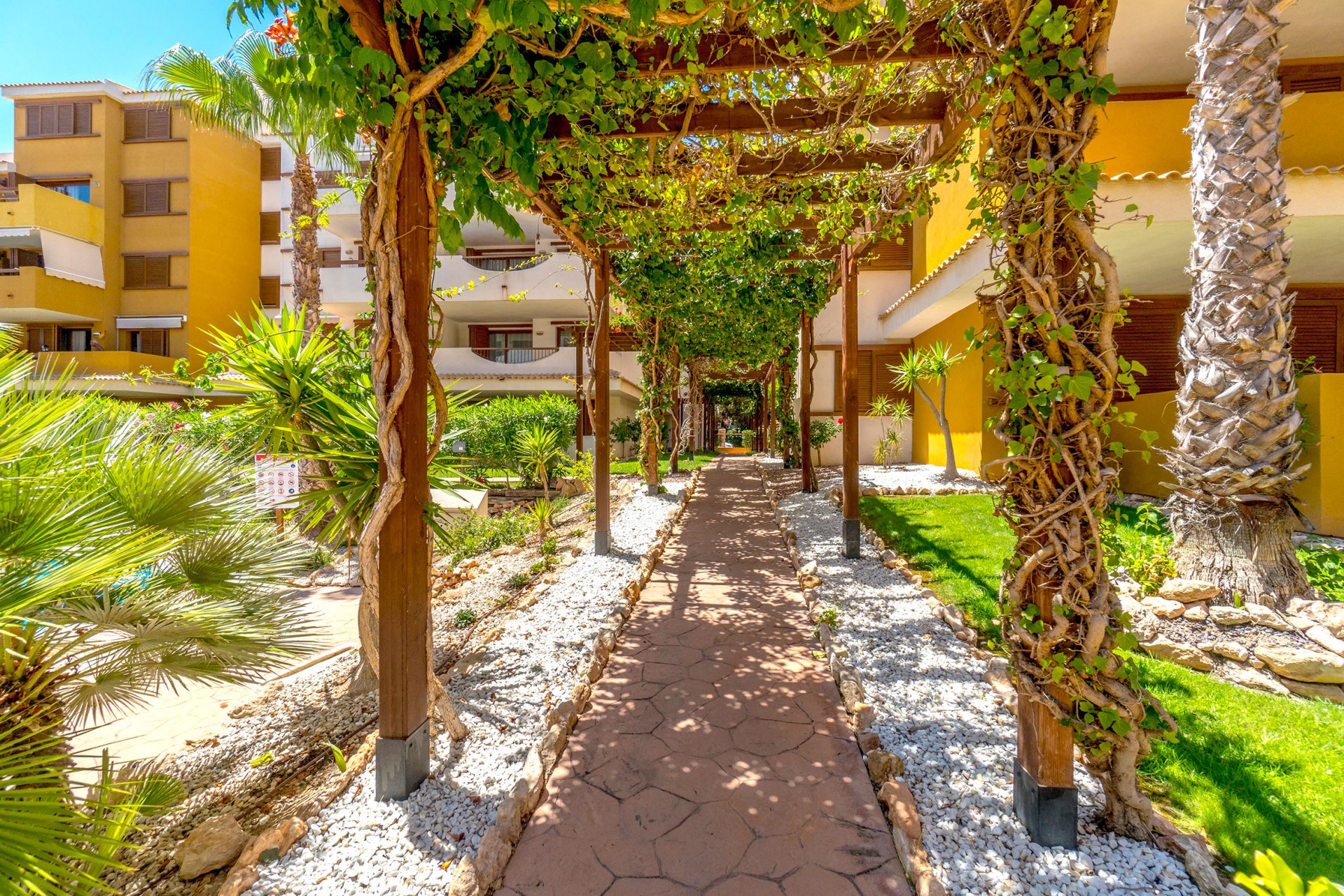 Återförsäljning - Apartment -
Punta Prima - Costa Blanca