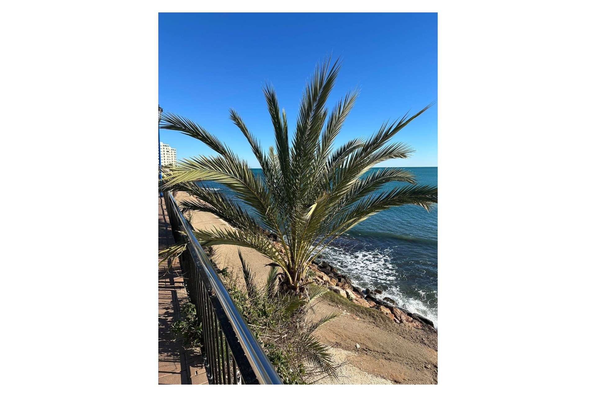 Återförsäljning - Apartment -
Punta Prima - Costa Blanca