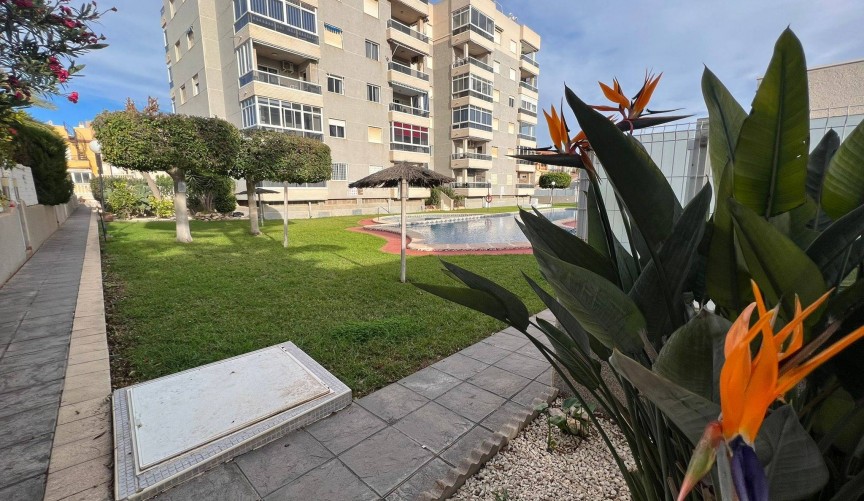 Återförsäljning - Apartment -
Torrevieja - aguas nuevas