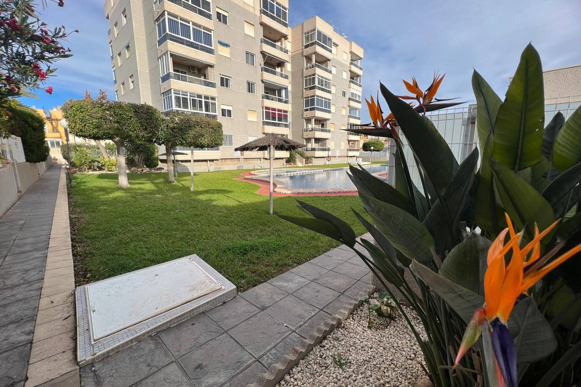 Återförsäljning - Apartment -
Torrevieja - aguas nuevas