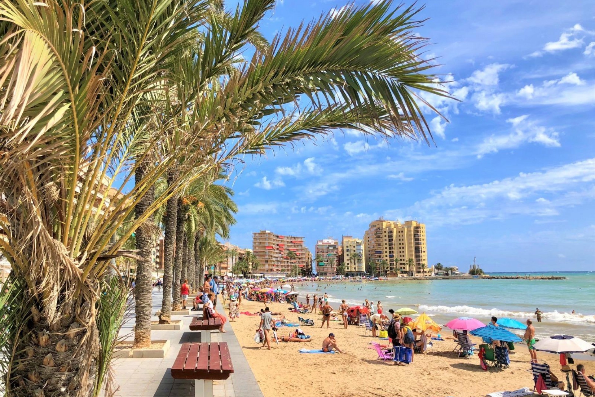 Återförsäljning - Apartment -
Torrevieja - Centro