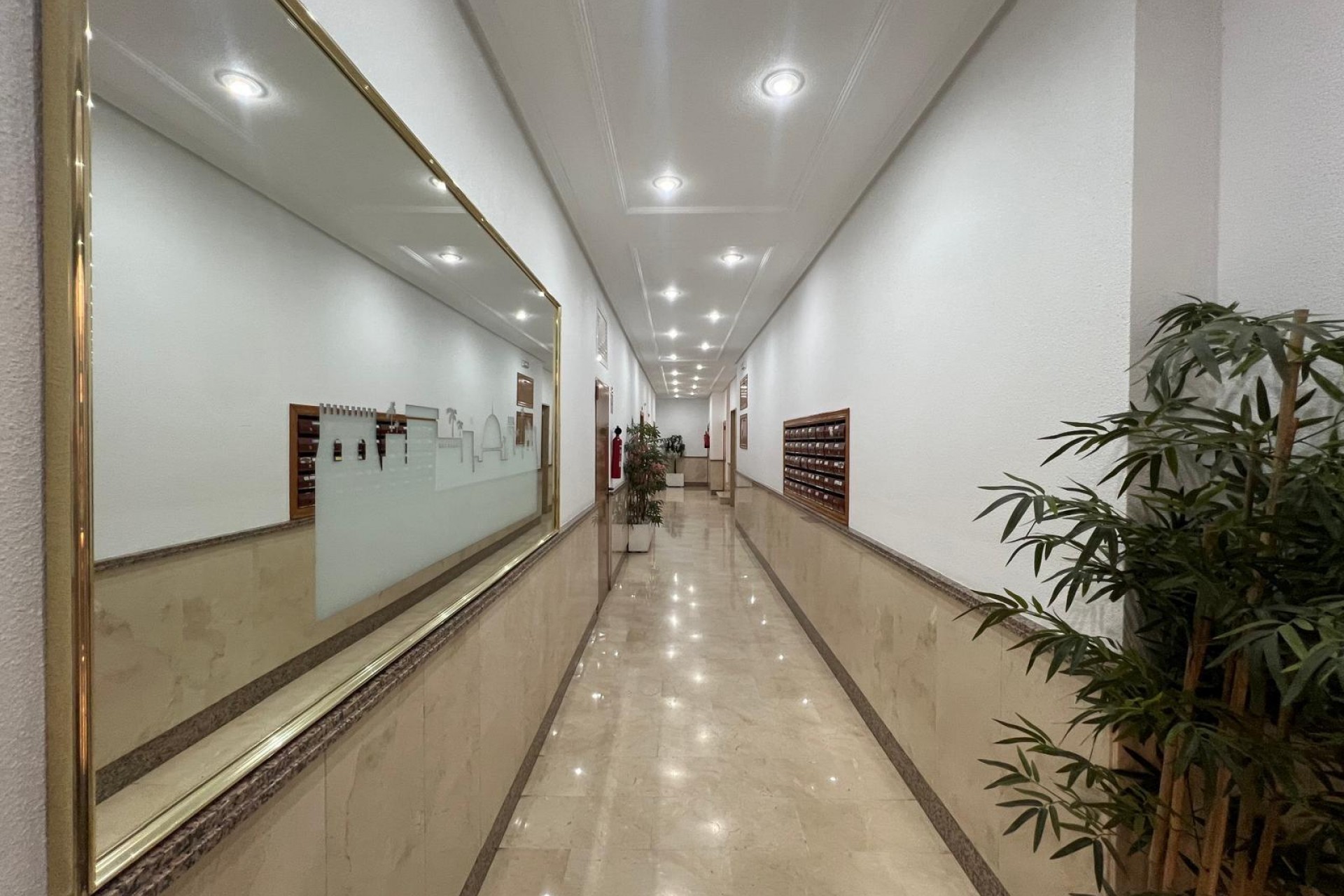 Återförsäljning - Apartment -
Torrevieja - Centro