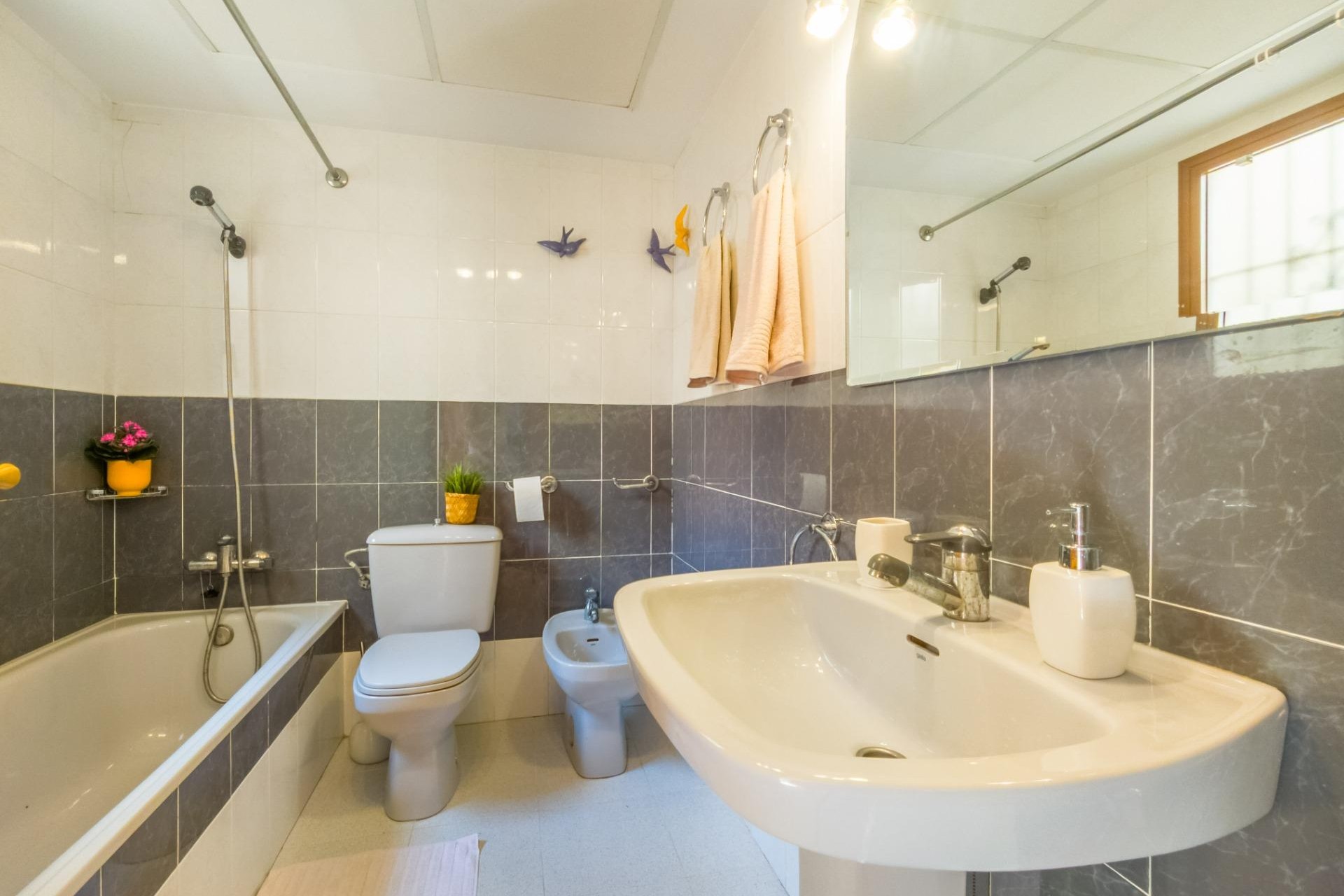 Återförsäljning - Apartment -
Torrevieja - Centro