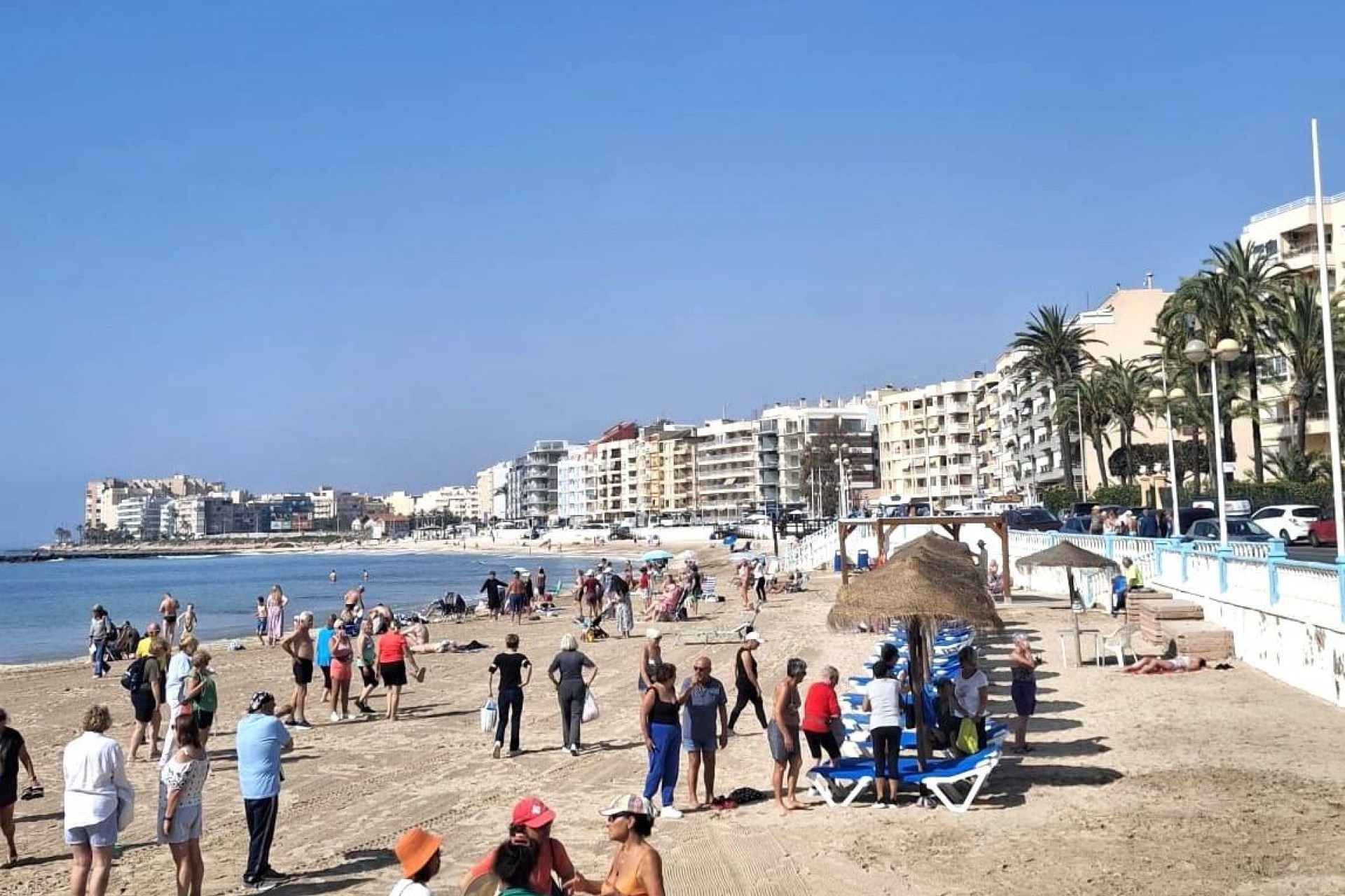Återförsäljning - Apartment -
Torrevieja - Centro
