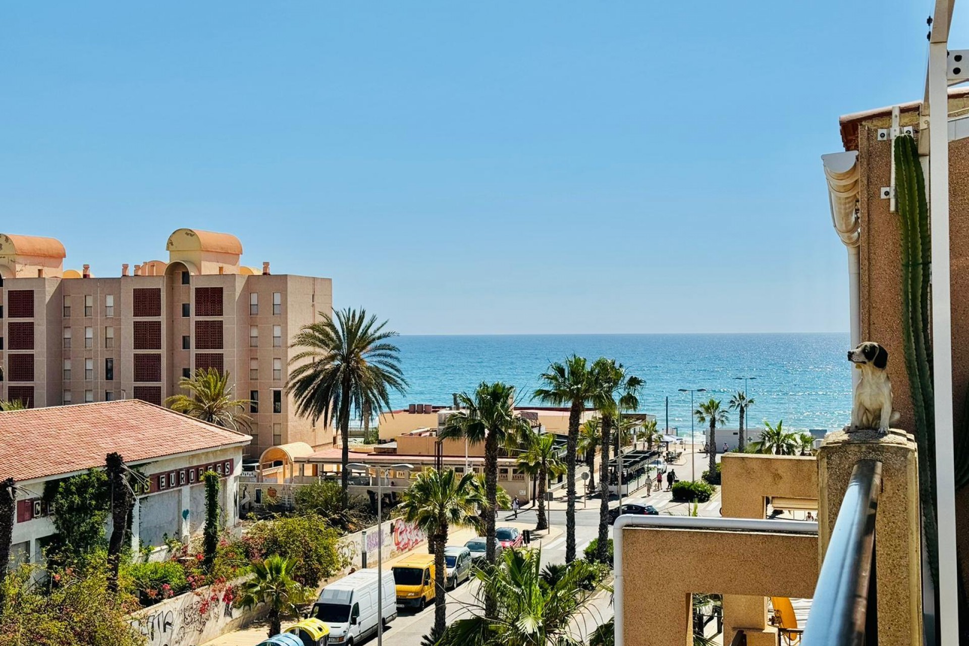 Återförsäljning - Apartment -
Torrevieja - Costa Blanca