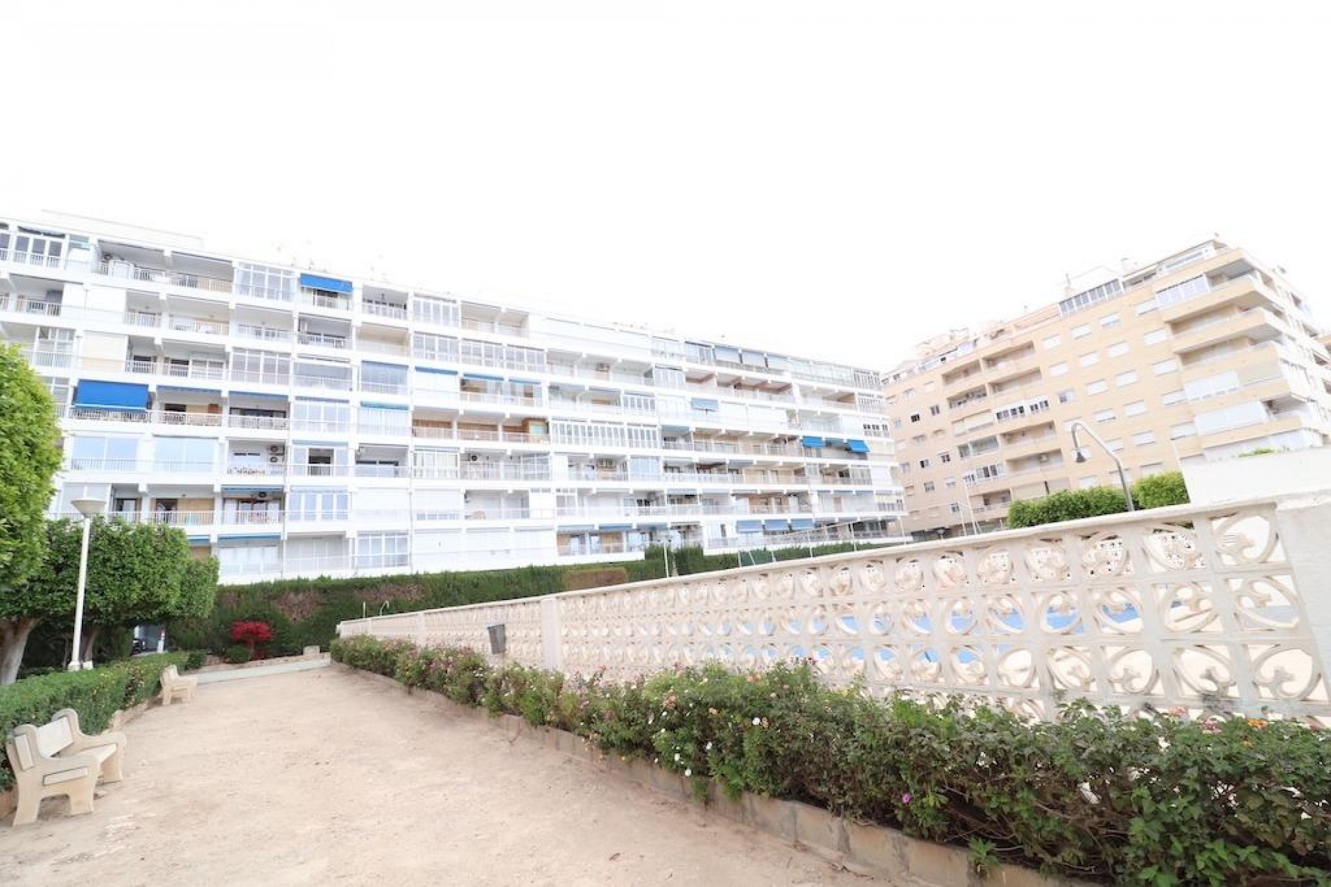 Återförsäljning - Apartment -
Torrevieja - Costa Blanca