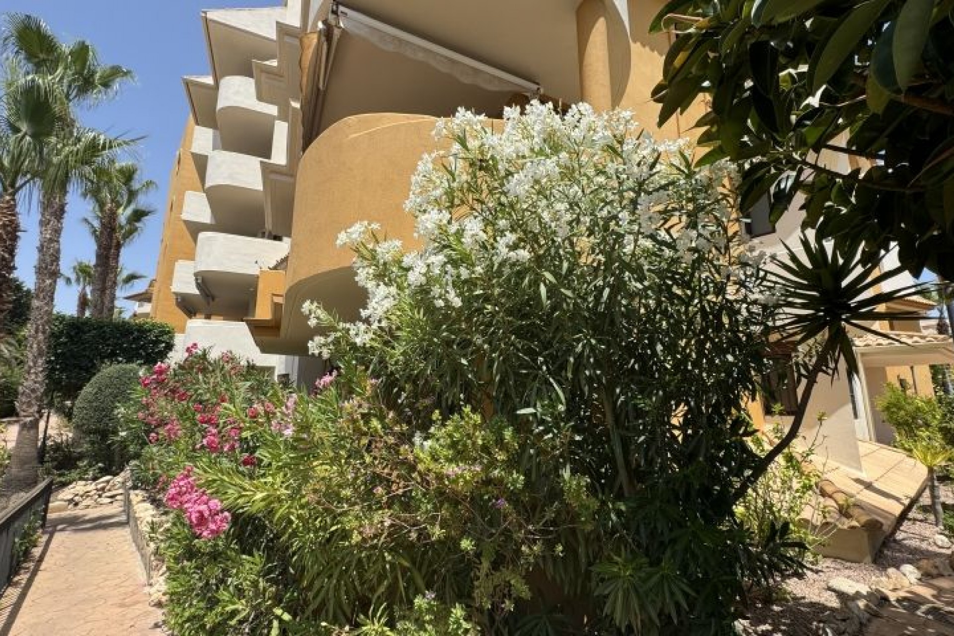 Återförsäljning - Apartment -
Torrevieja - Costa Blanca