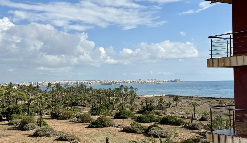 Återförsäljning - Apartment -
Torrevieja - Costa Blanca