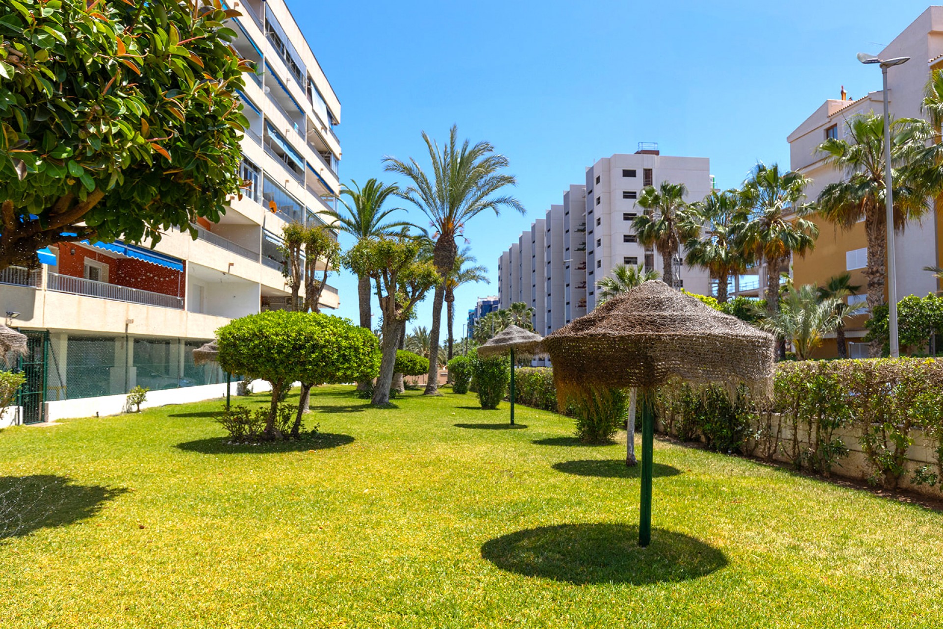 Återförsäljning - Apartment -
Torrevieja - Costa Blanca