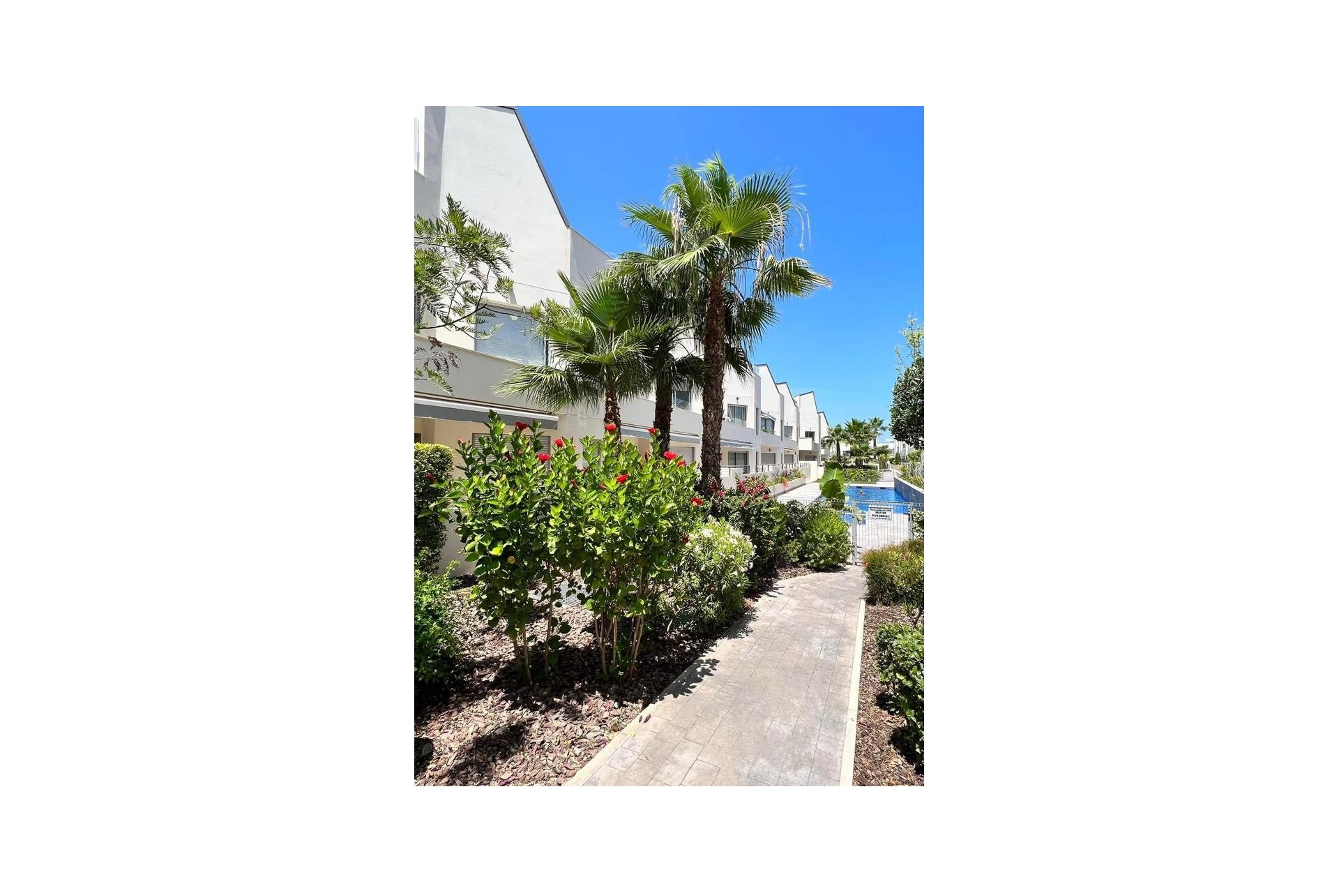 Återförsäljning - Apartment -
Torrevieja - Costa Blanca