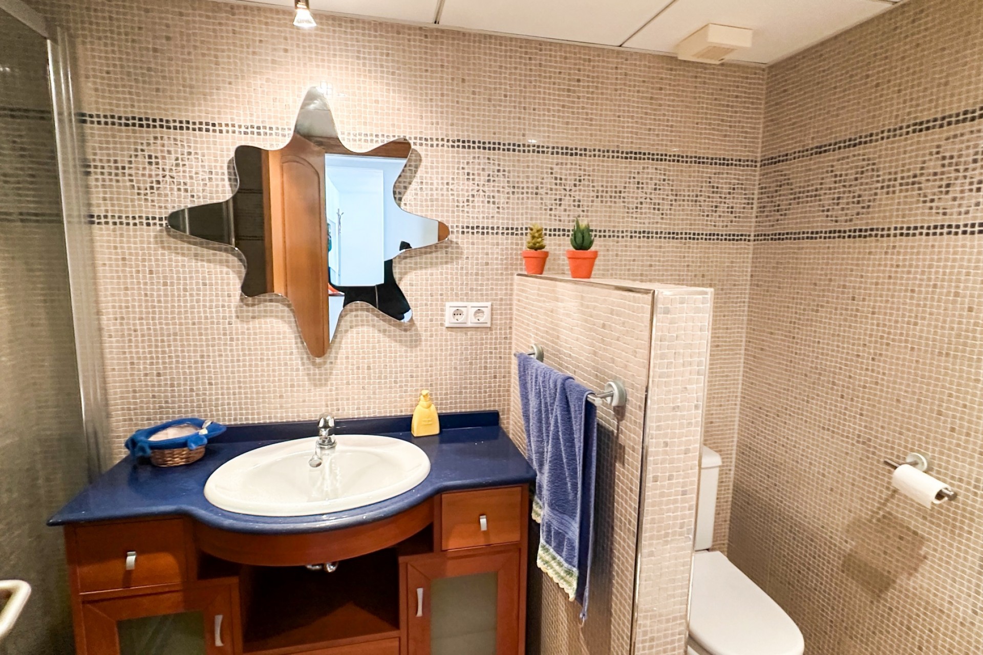 Återförsäljning - Apartment -
Torrevieja - Costa Blanca