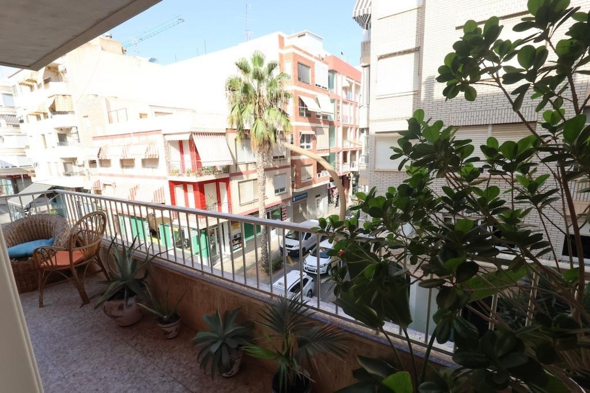 Återförsäljning - Apartment -
Torrevieja - Costa Blanca
