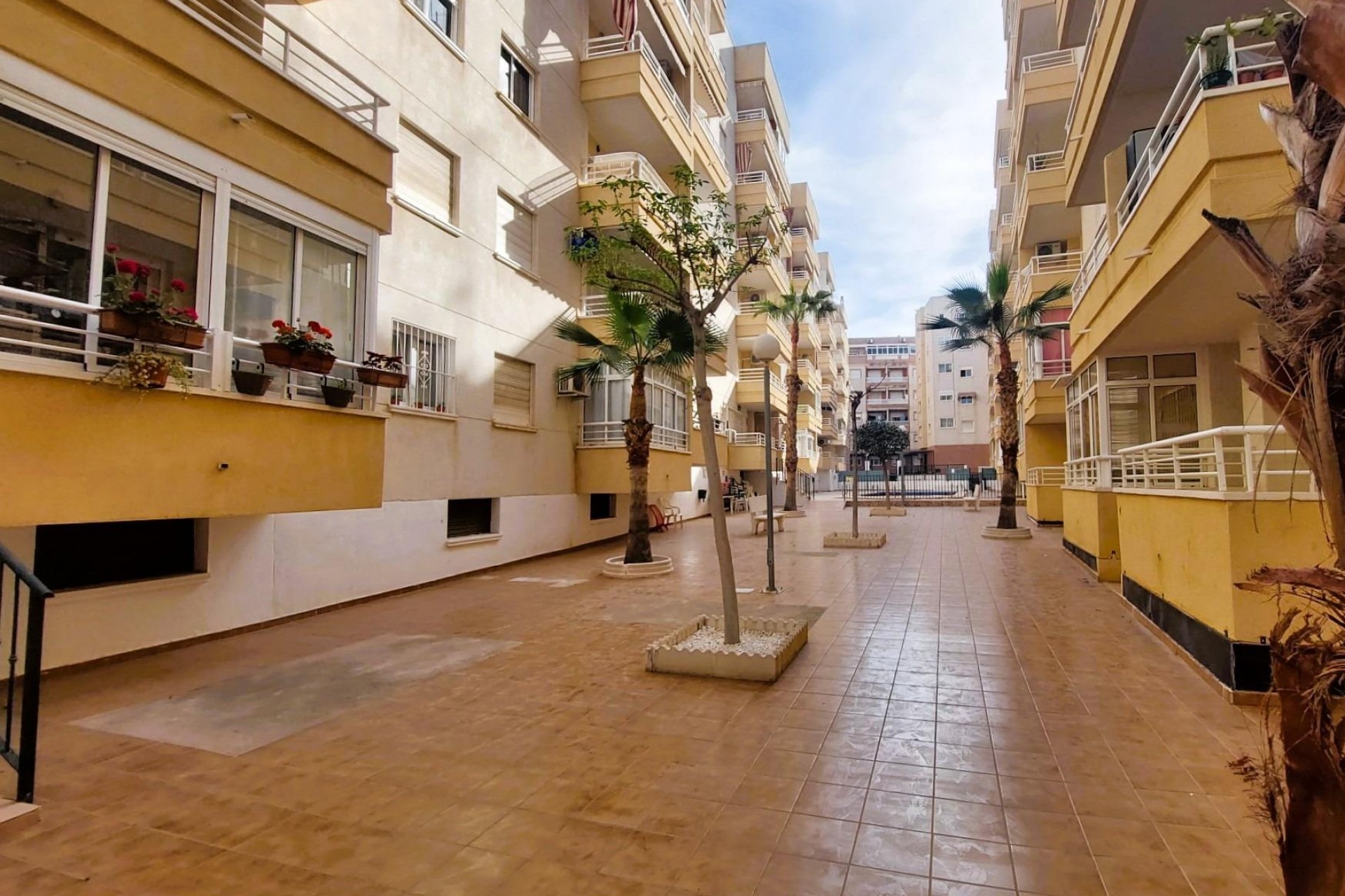 Återförsäljning - Apartment -
Torrevieja - Costa Blanca