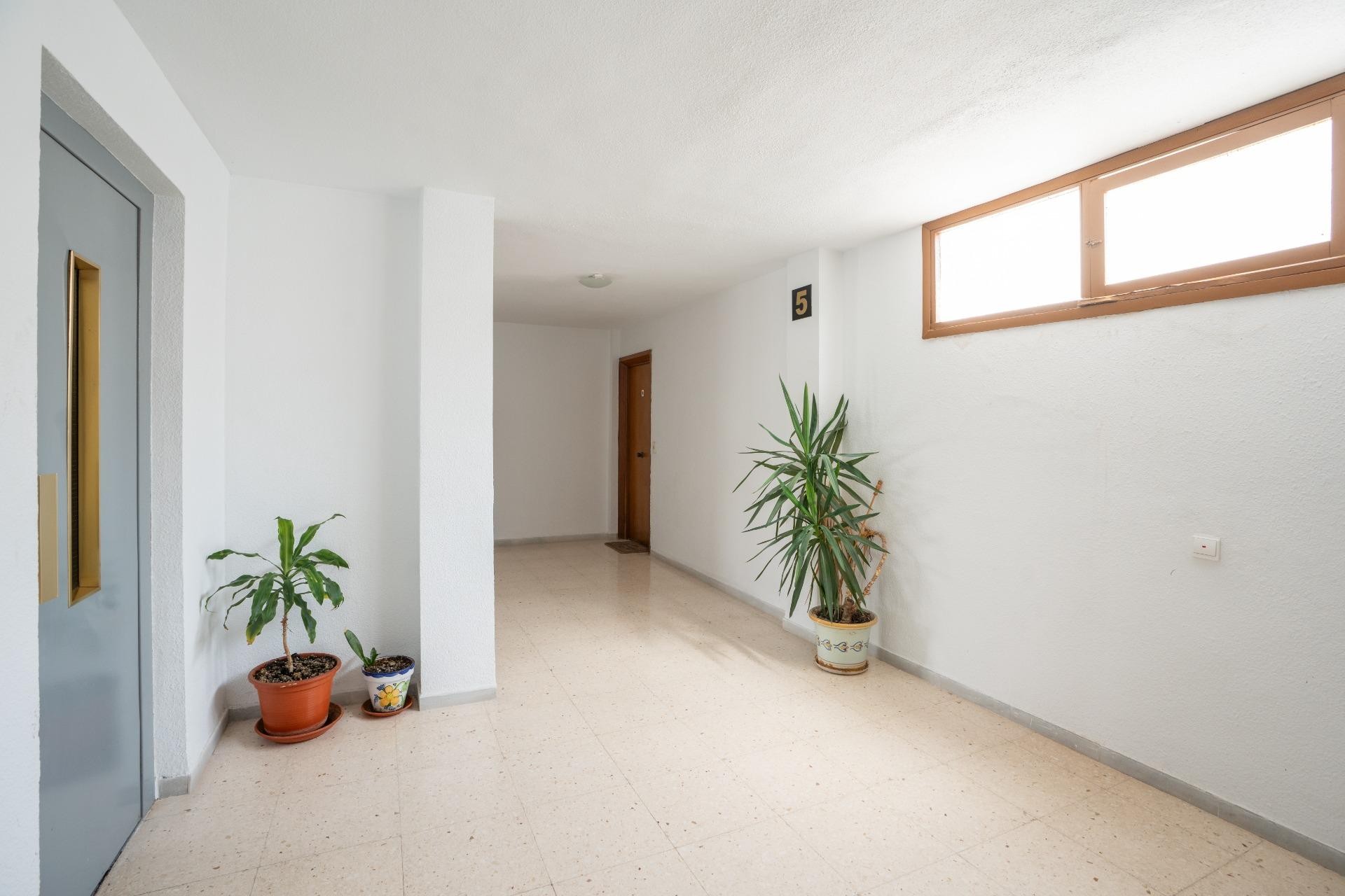 Återförsäljning - Apartment -
Torrevieja - El Acequión - Los Náufragos