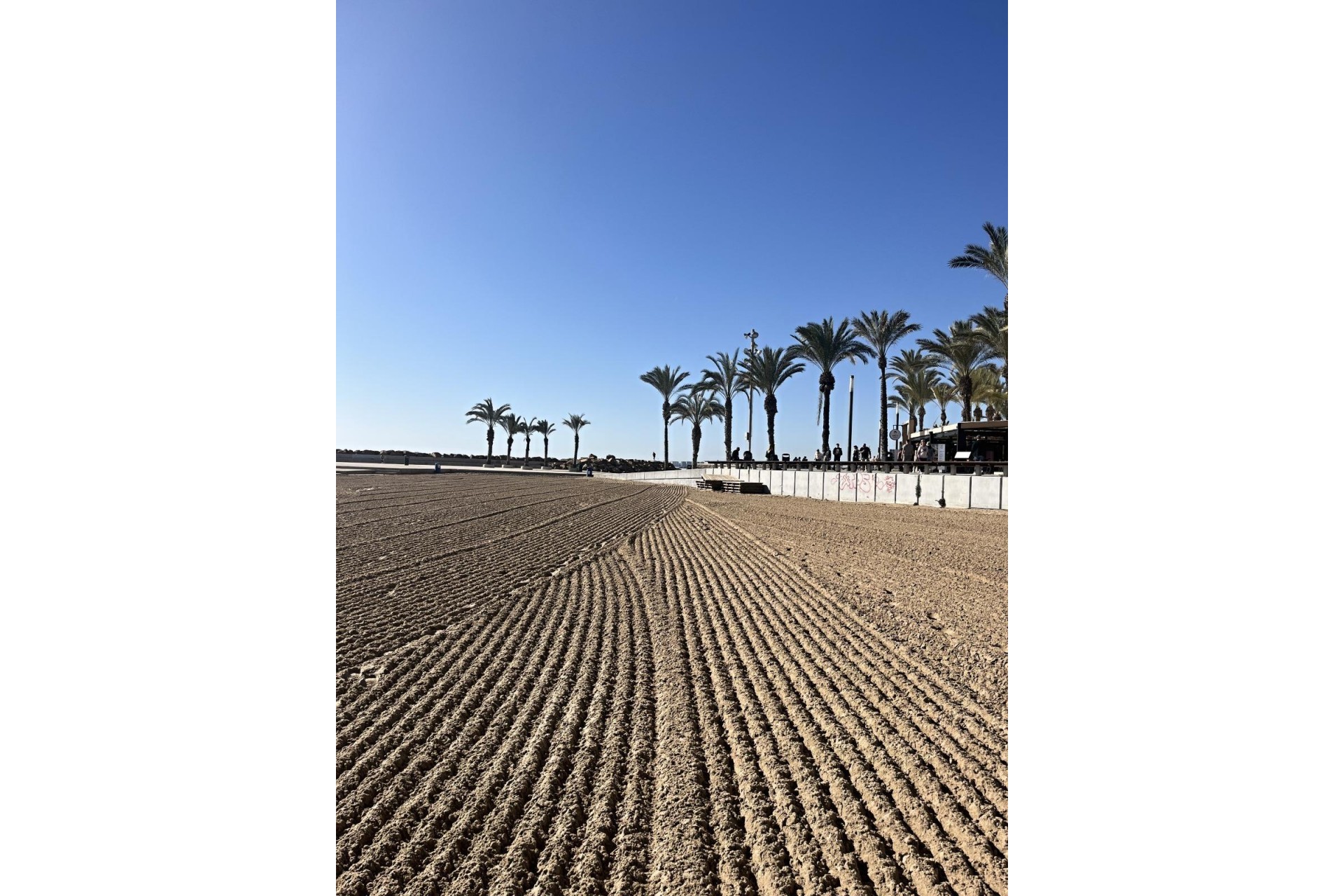 Återförsäljning - Apartment -
Torrevieja - Estacion De Autobuses