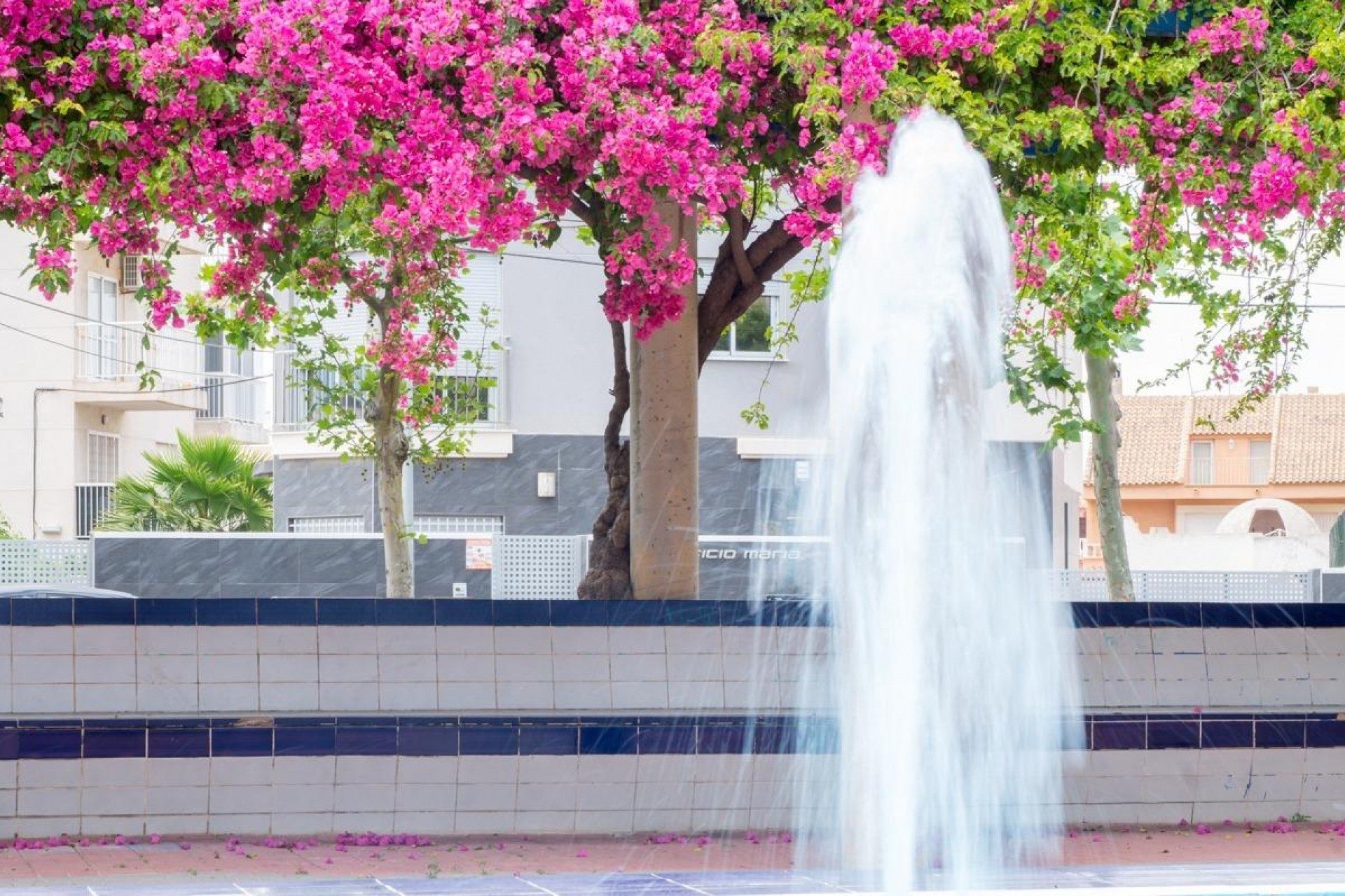 Återförsäljning - Apartment -
Torrevieja - Estacion De Autobuses