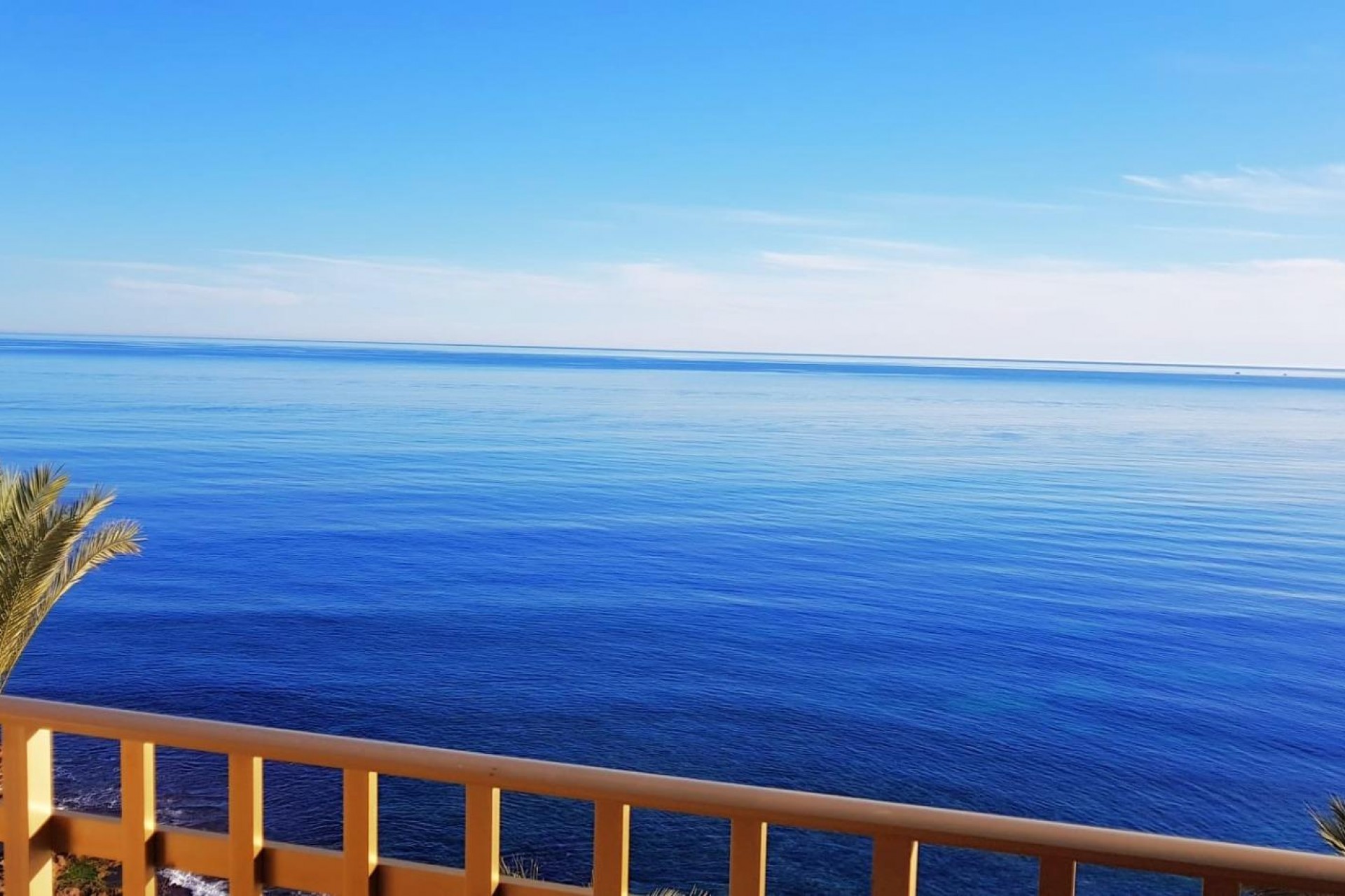 Återförsäljning - Apartment -
Torrevieja - Estacion De Autobuses