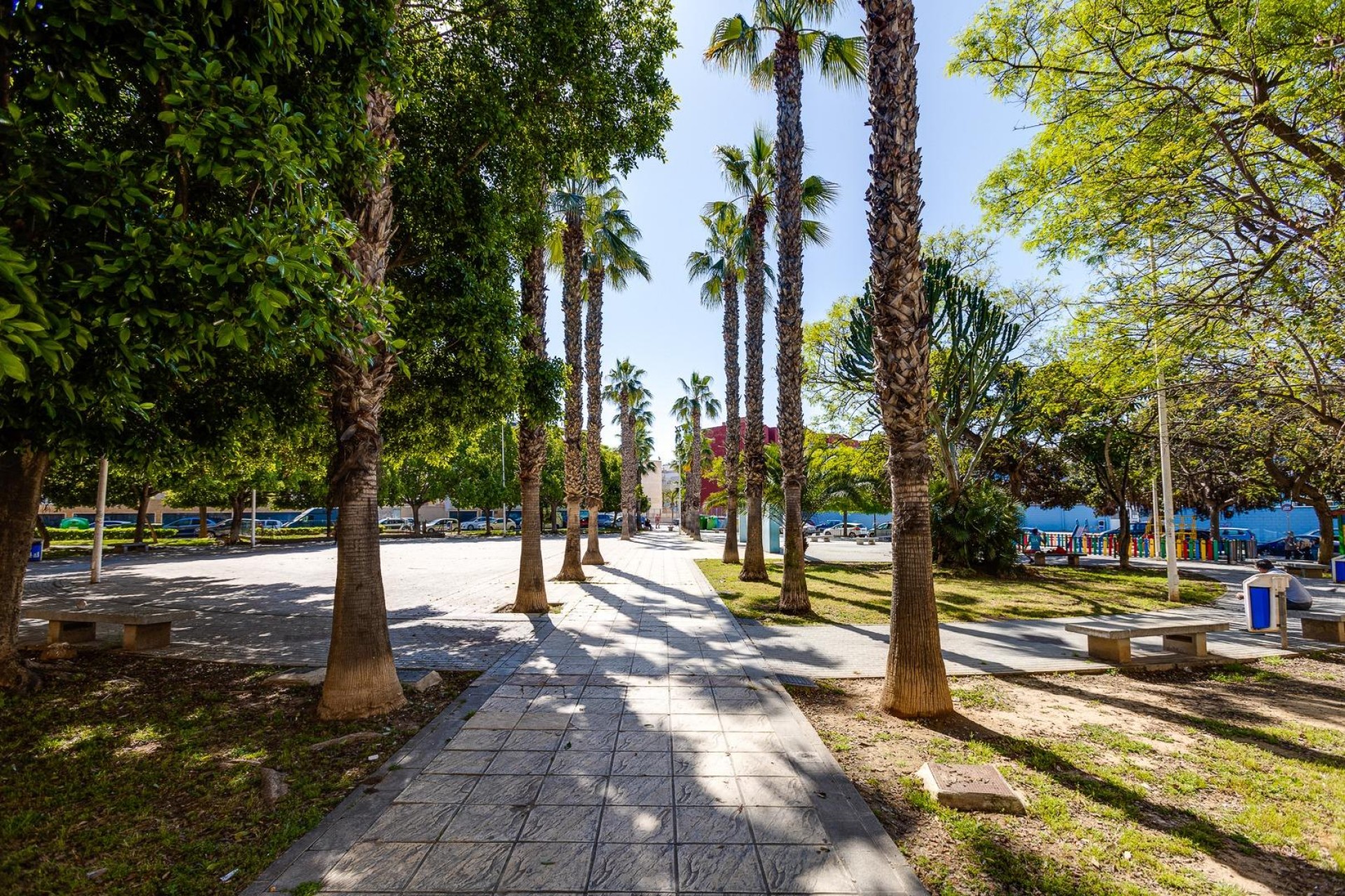 Återförsäljning - Apartment -
Torrevieja - Estacion De Autobuses