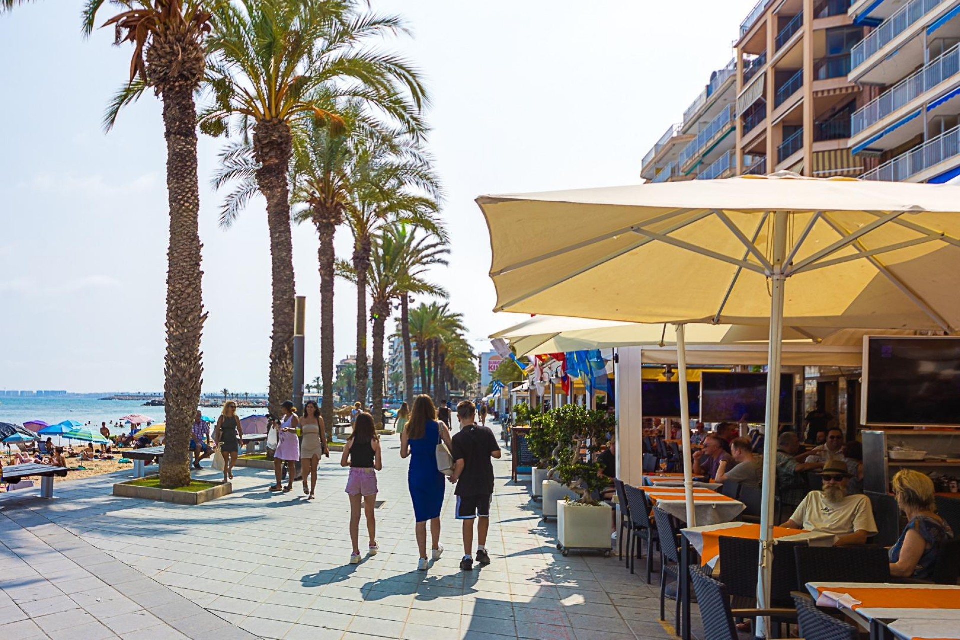 Återförsäljning - Apartment -
Torrevieja - Estacion De Autobuses