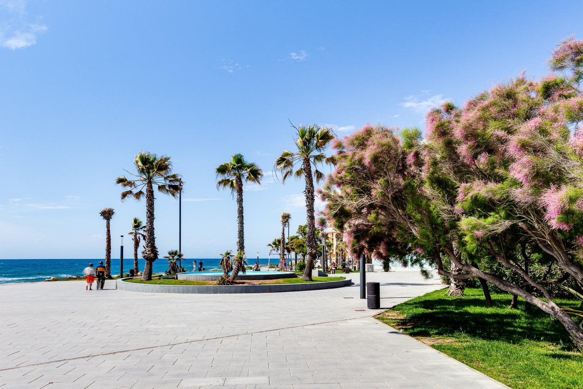Återförsäljning - Apartment -
Torrevieja - Estacion De Autobuses