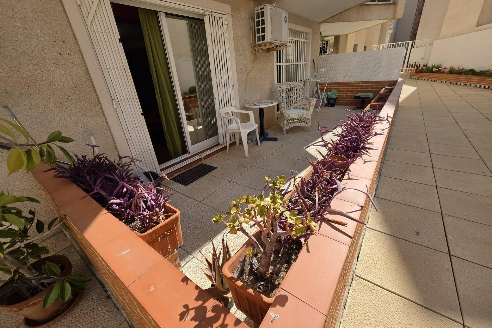 Återförsäljning - Apartment -
Torrevieja - Estacion De Autobuses