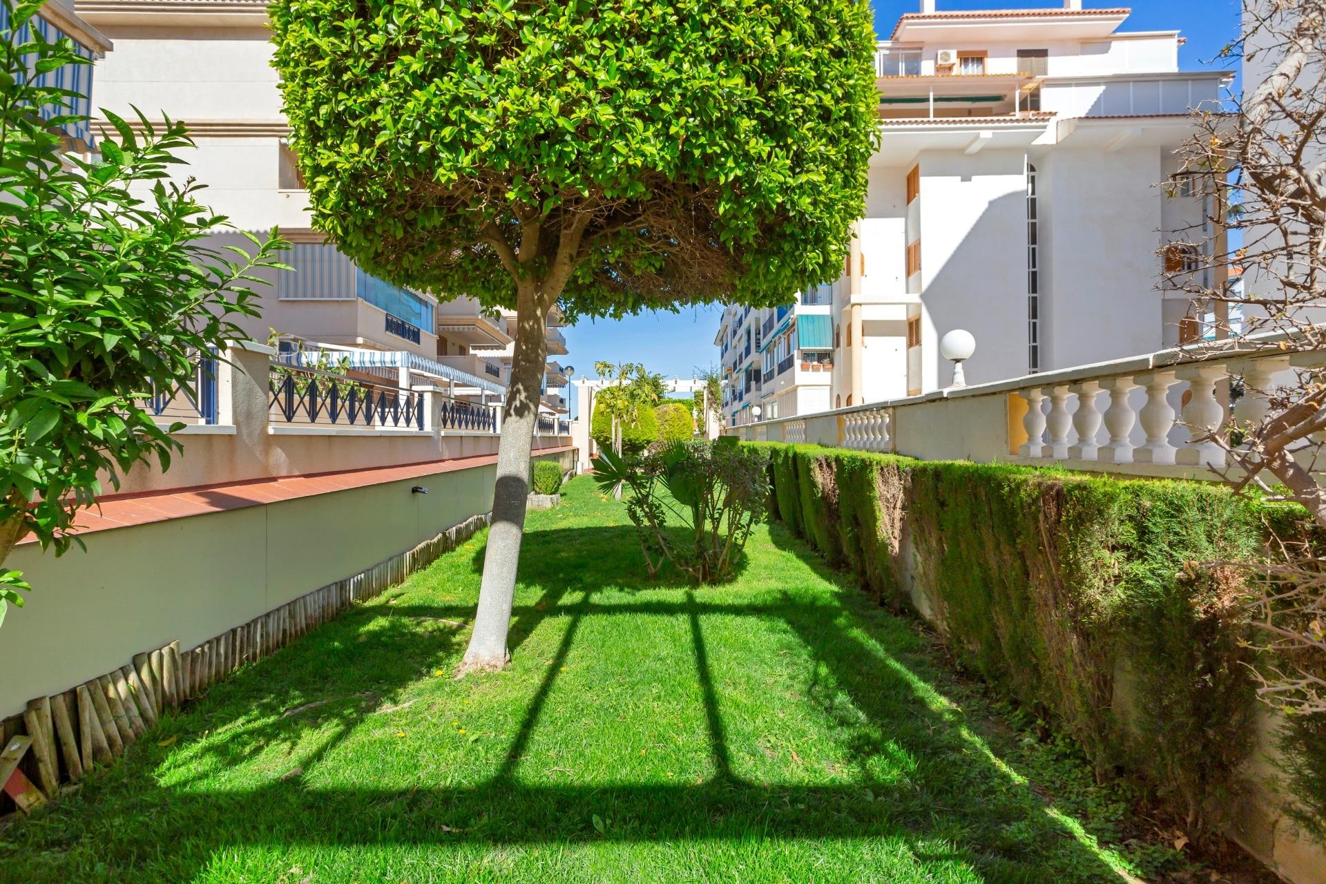 Återförsäljning - Apartment -
Torrevieja - La Mata