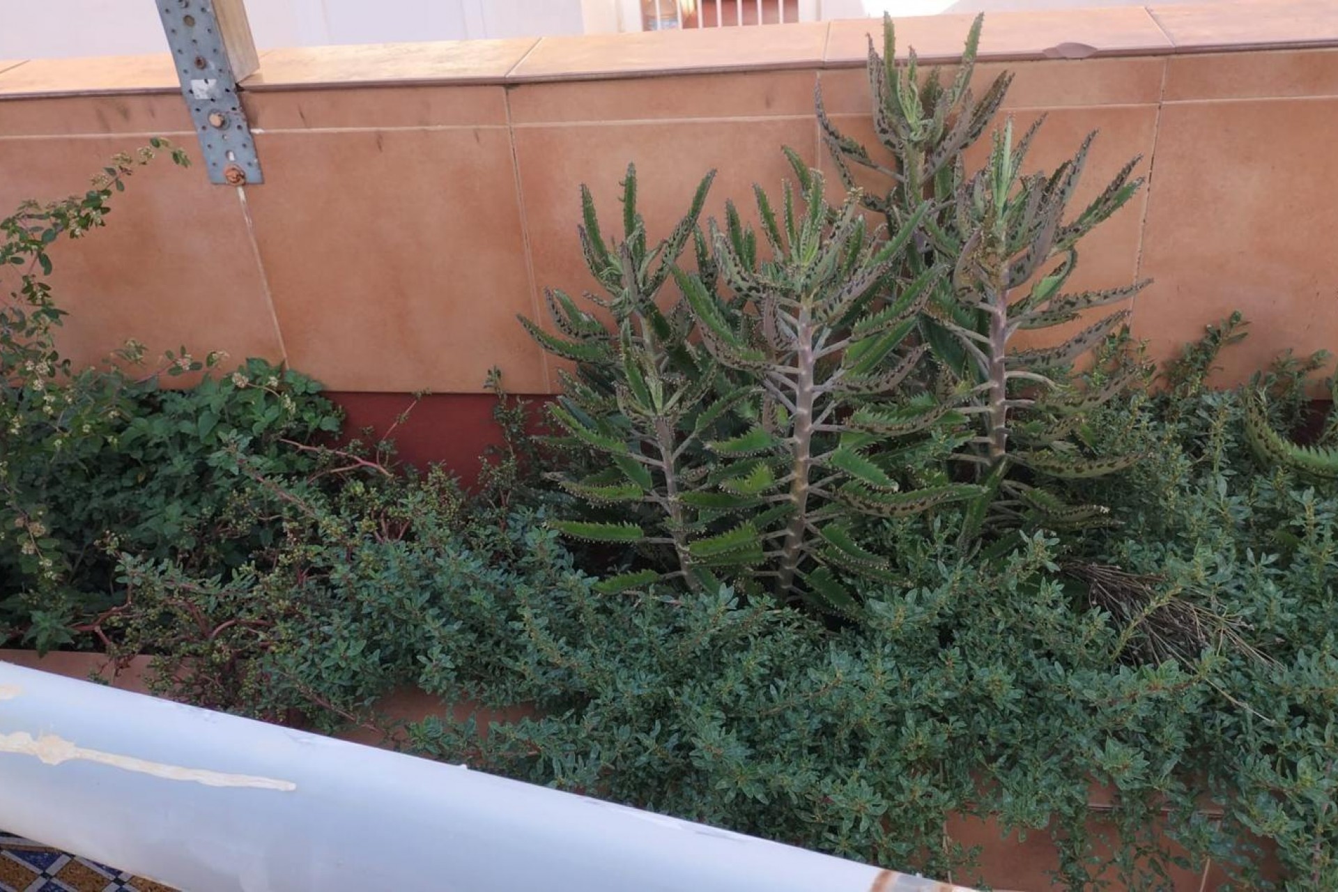 Återförsäljning - Apartment -
Torrevieja - La Mata