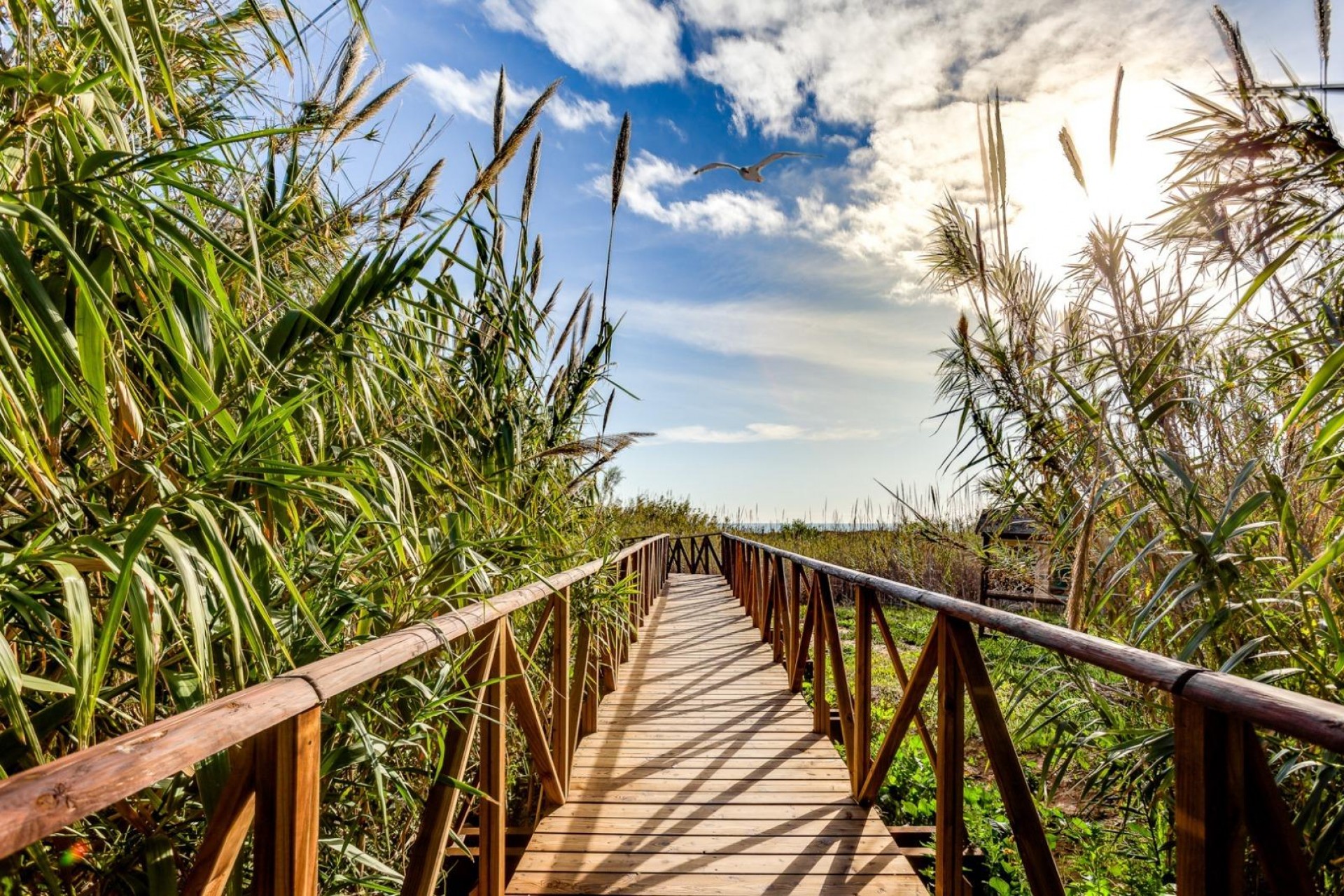 Återförsäljning - Apartment -
Torrevieja - La Mata