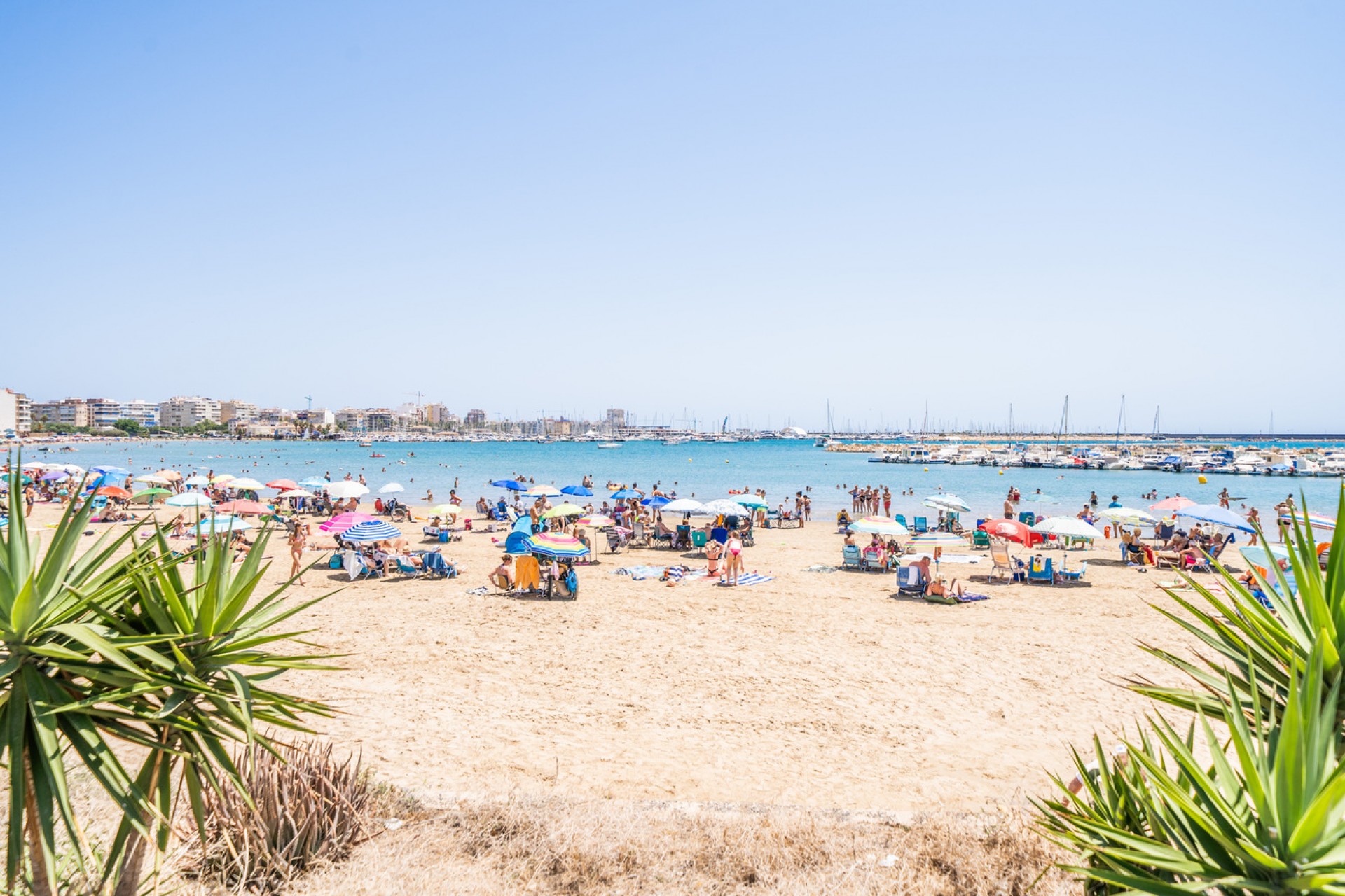 Återförsäljning - Apartment -
Torrevieja - La Veleta