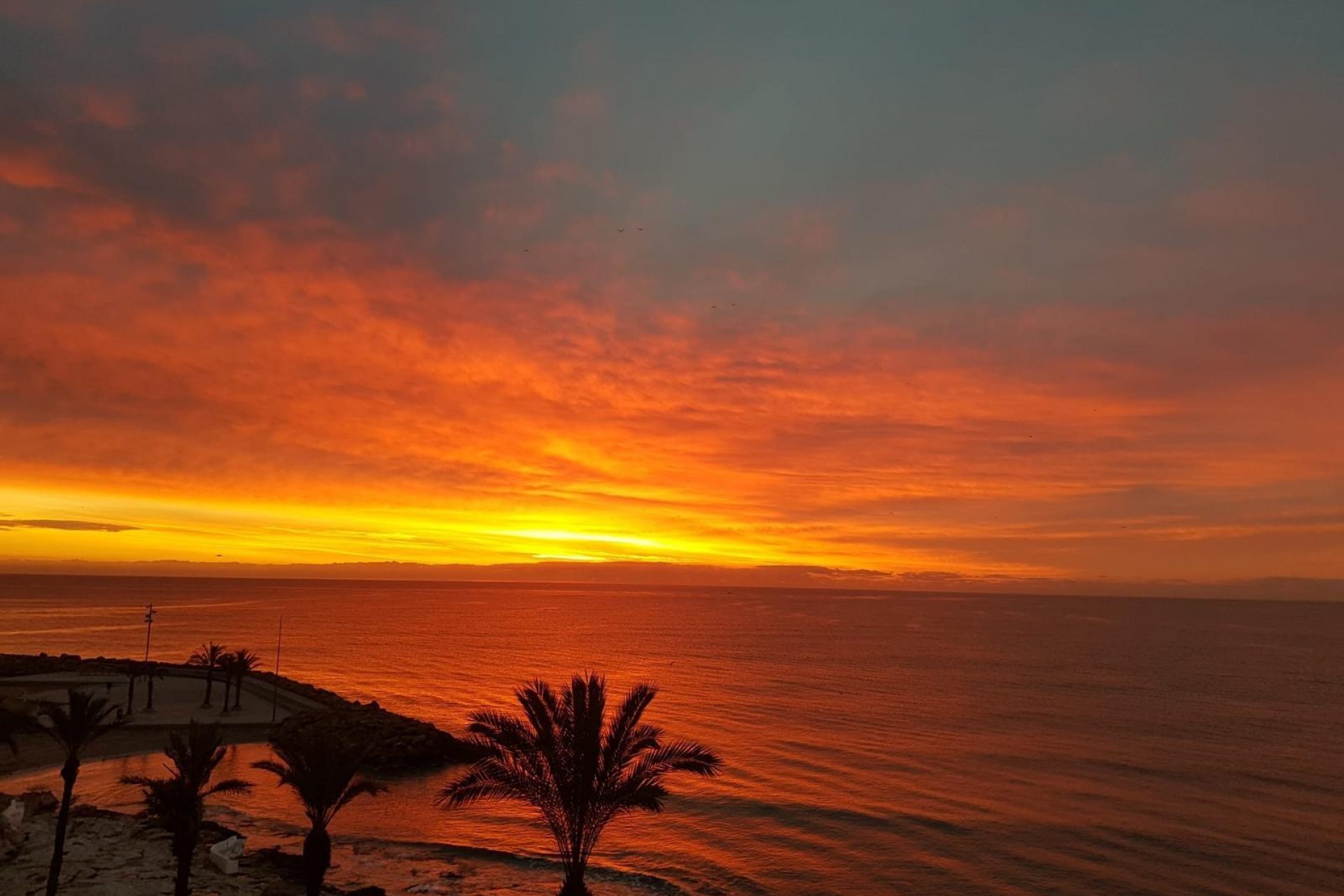 Återförsäljning - Apartment -
Torrevieja - Las Piscinas Naturales