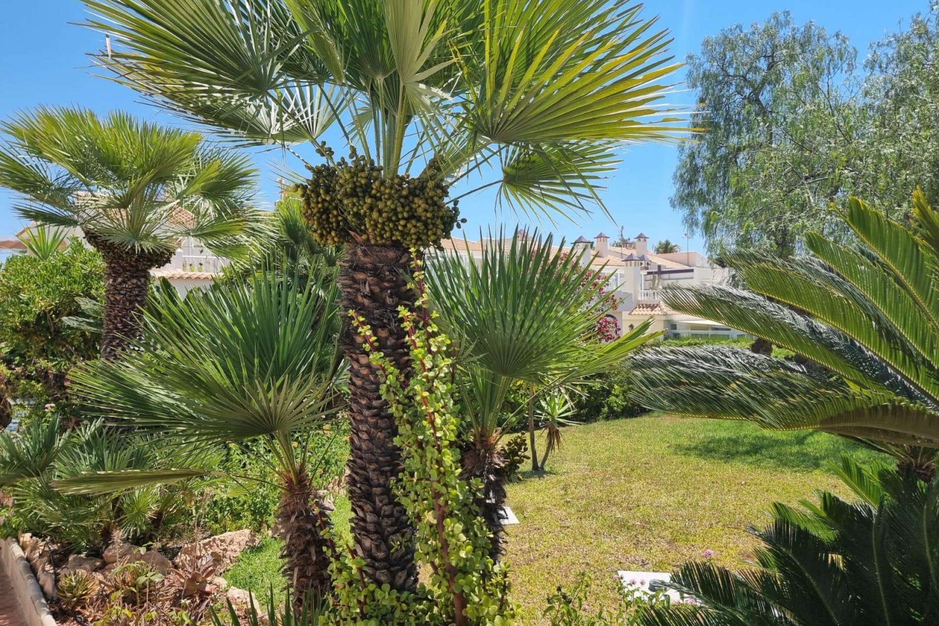 Återförsäljning - Apartment -
Torrevieja - Los Balcones - Los Altos del Edén