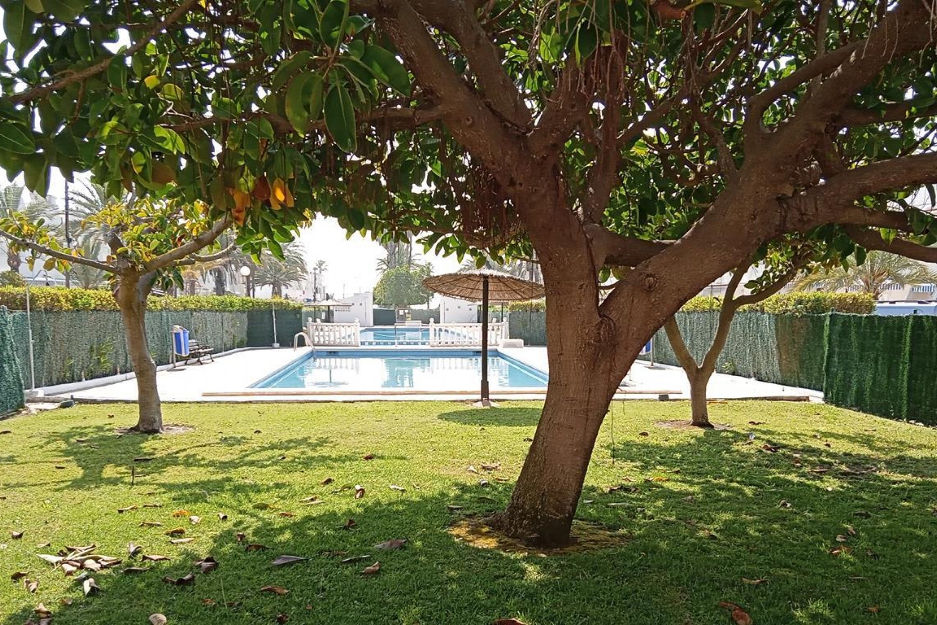Återförsäljning - Apartment -
Torrevieja - MAR AZUL LA VELETA