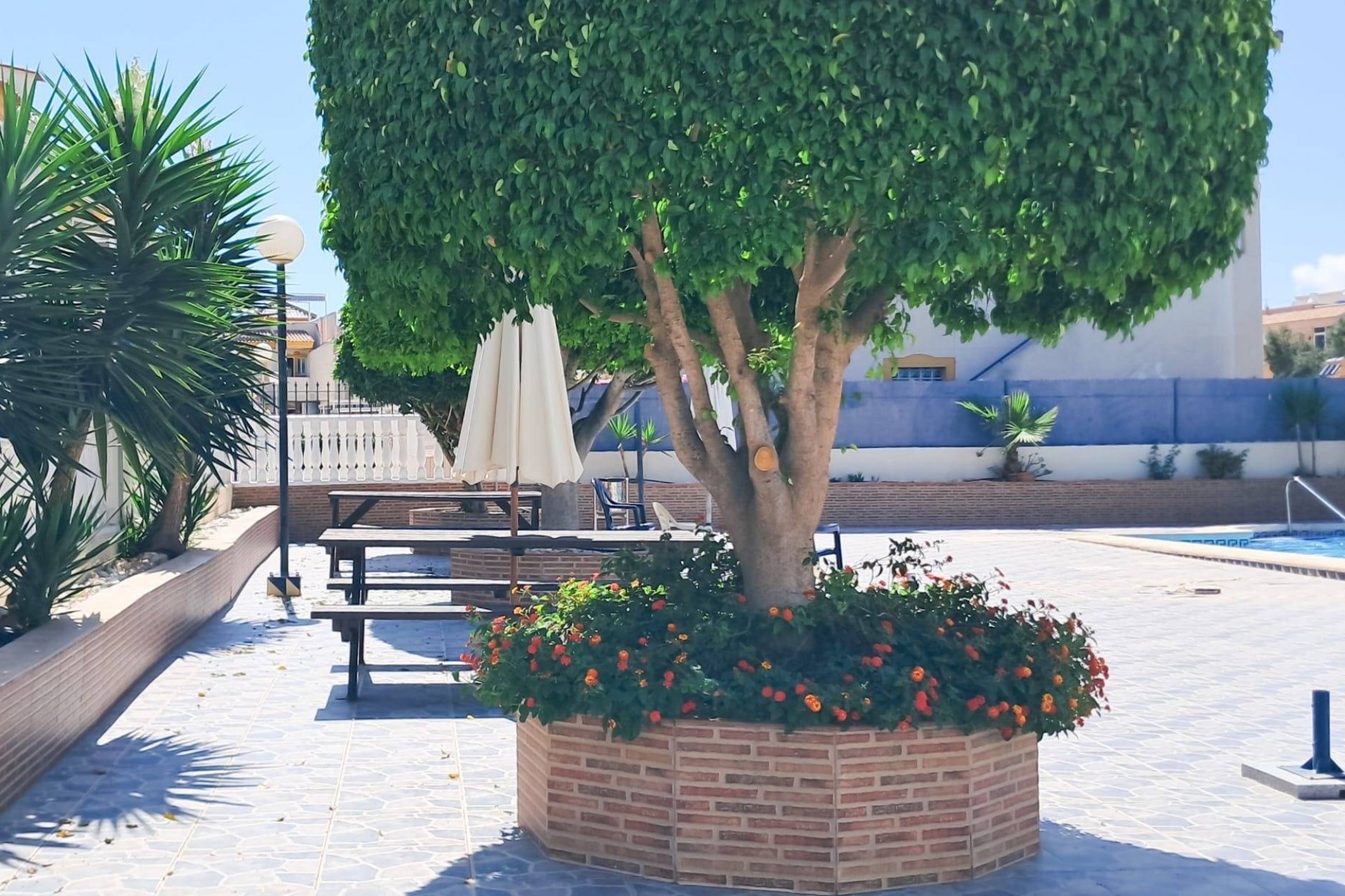 Återförsäljning - Apartment -
Torrevieja - Parque Acuático - Sector 25