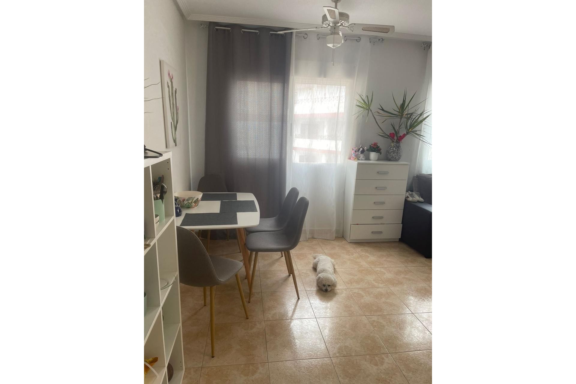 Återförsäljning - Apartment -
Torrevieja - Playa de los Locos
