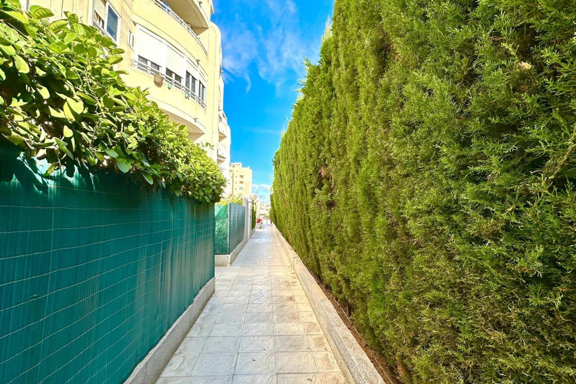 Återförsäljning - Apartment -
Torrevieja - Playa del Cura