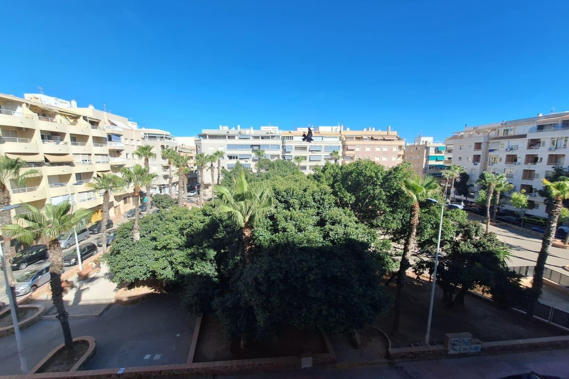 Återförsäljning - Apartment -
Torrevieja - Playa del Cura