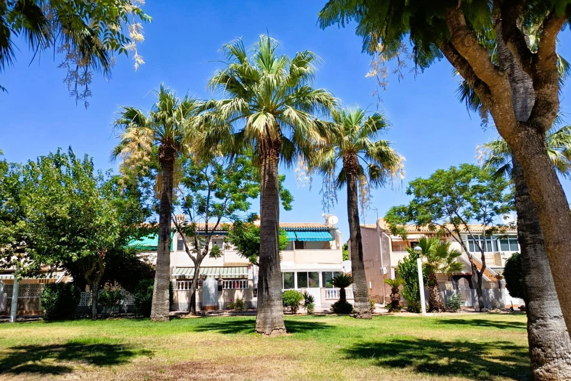 Återförsäljning - Bungalow -
Orihuela Costa - Costa Blanca