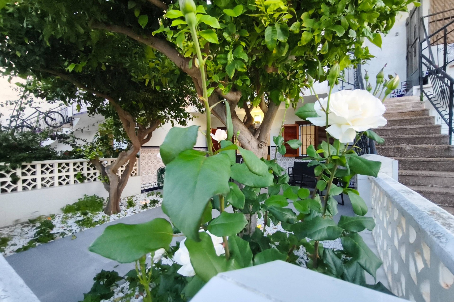 Återförsäljning - Bungalow -
San Pedro del Pinatar - Lo Pagan