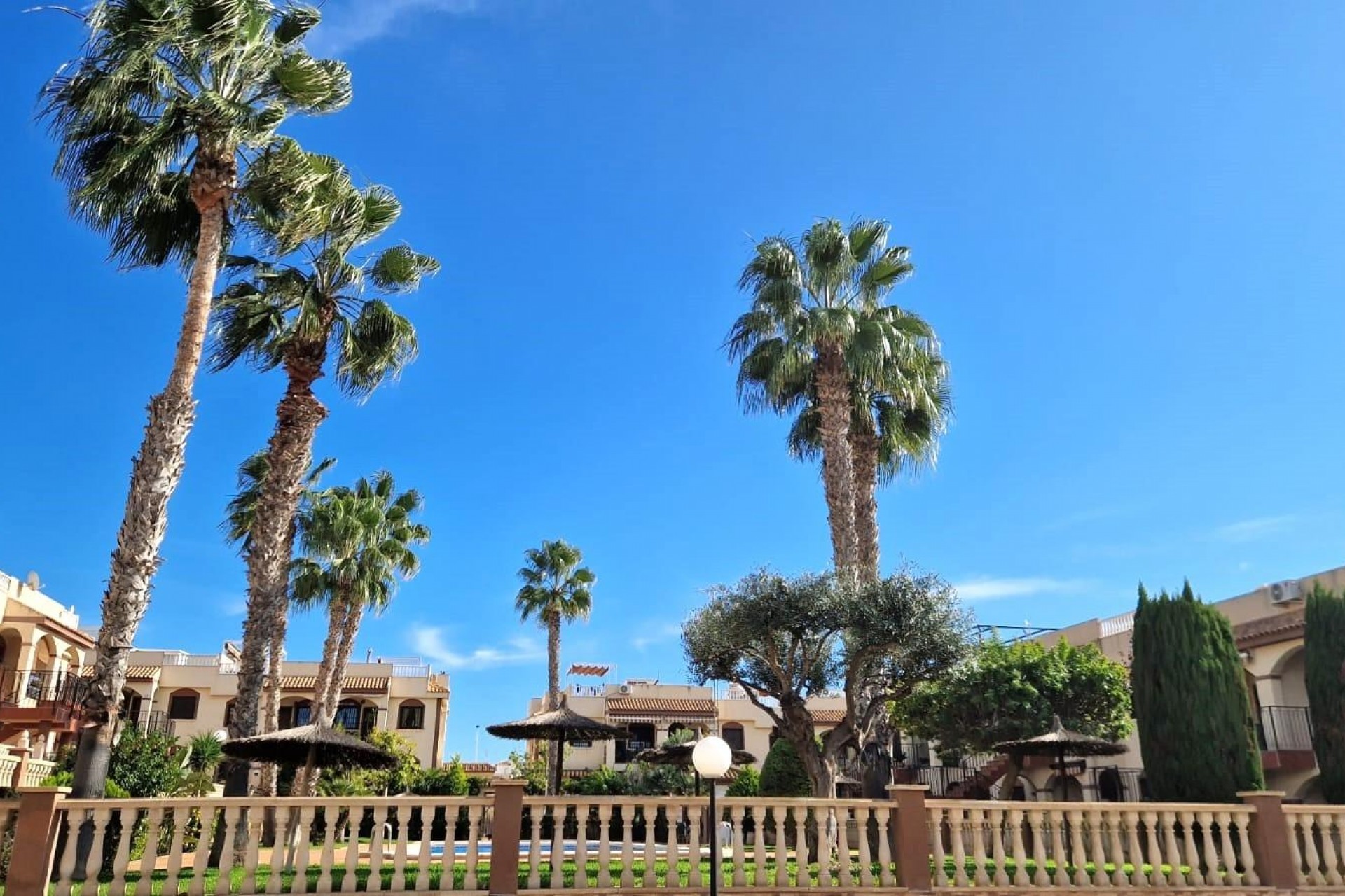 Återförsäljning - Bungalow -
Torrevieja - Aguas Nuevas 1