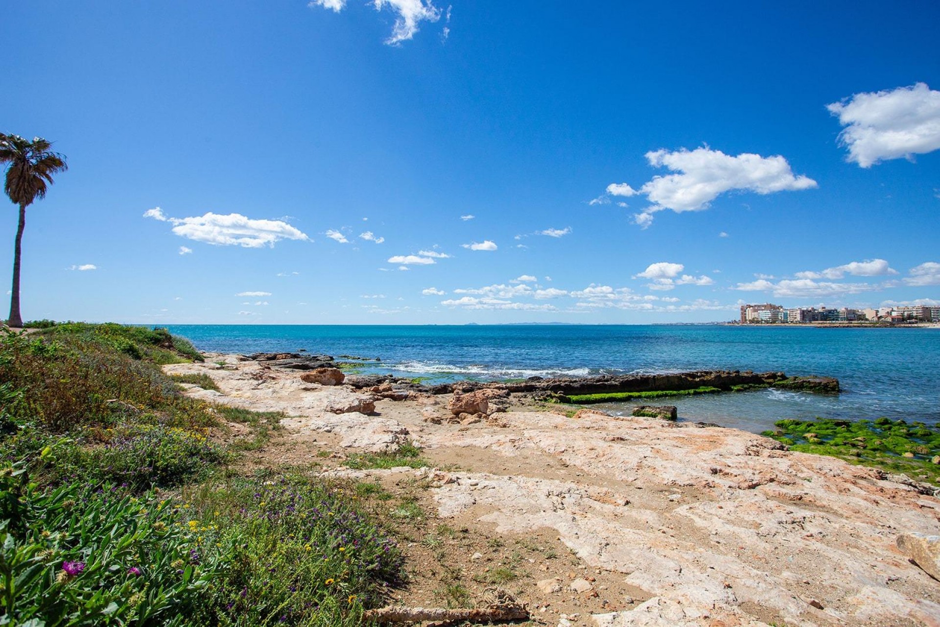 Återförsäljning - Bungalow -
Torrevieja - Centro