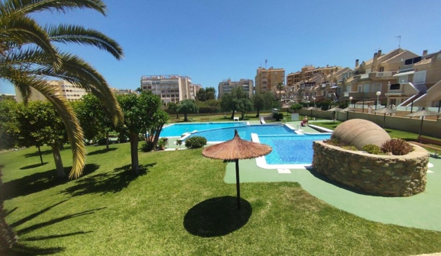 Återförsäljning - Bungalow -
Torrevieja - Costa Blanca