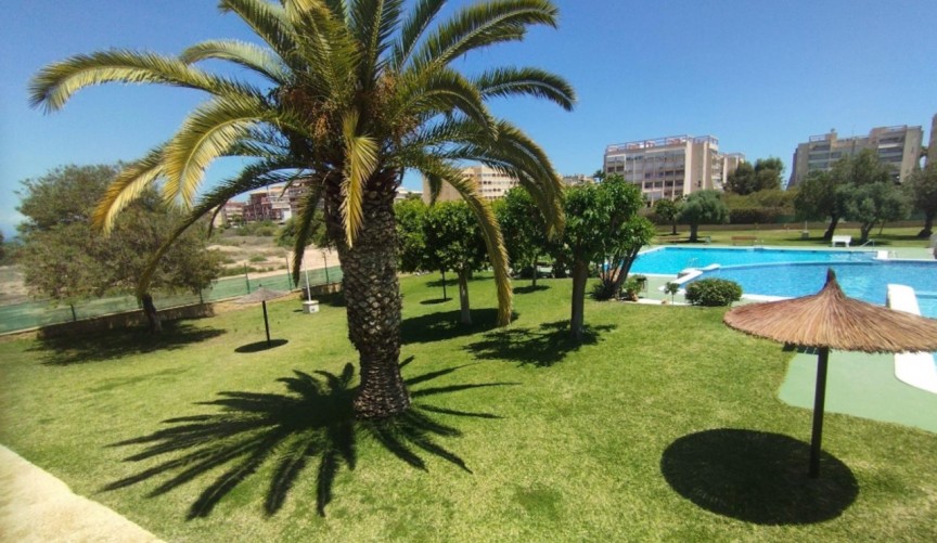 Återförsäljning - Bungalow -
Torrevieja - Costa Blanca