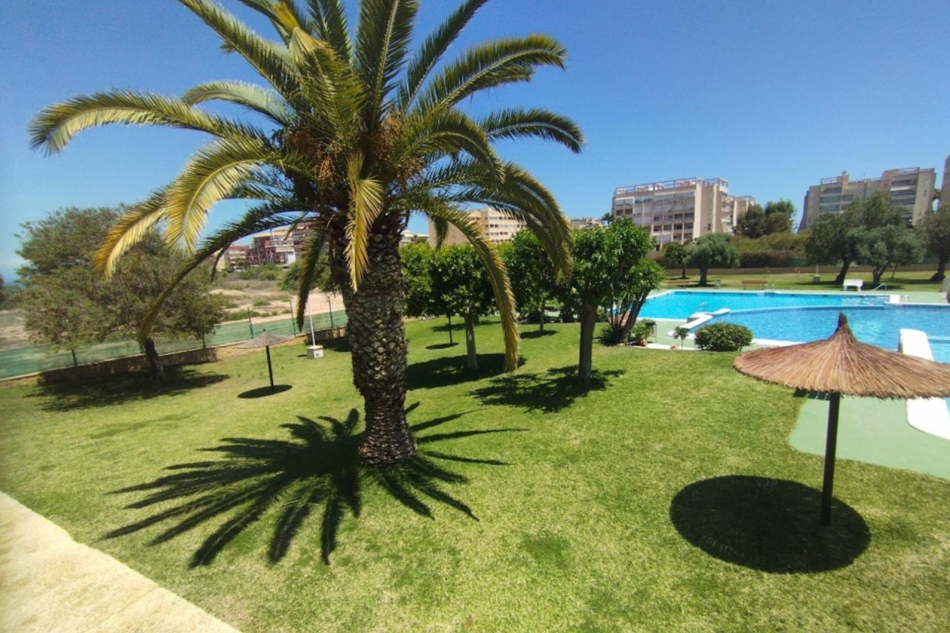 Återförsäljning - Bungalow -
Torrevieja - Costa Blanca