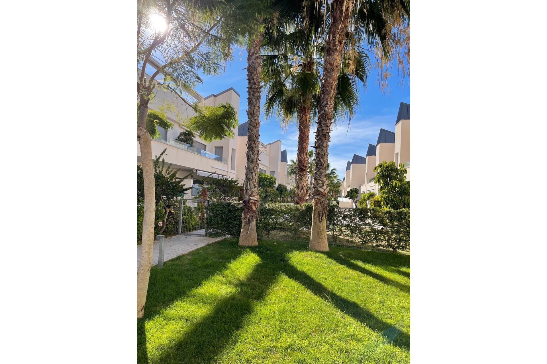 Återförsäljning - Bungalow -
Torrevieja - Costa Blanca