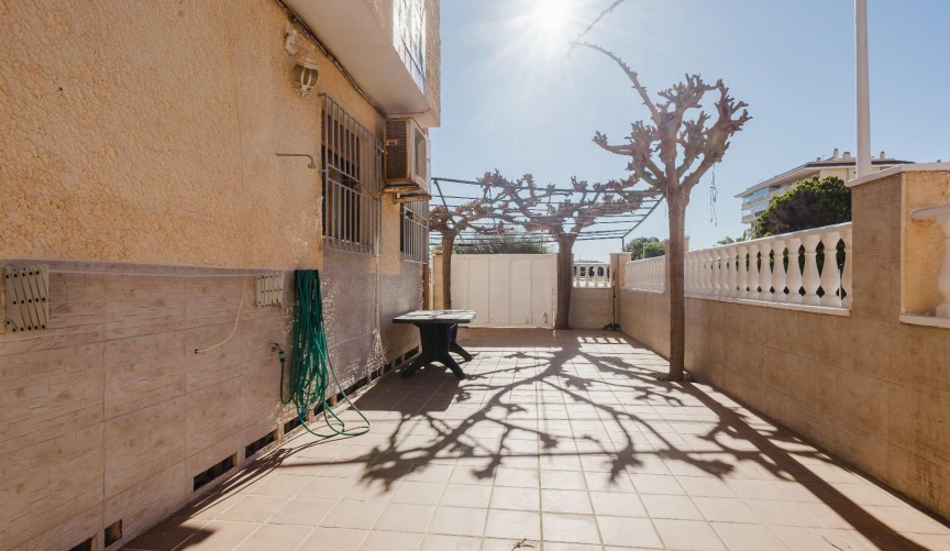 Återförsäljning - Bungalow -
Torrevieja - Costa Blanca