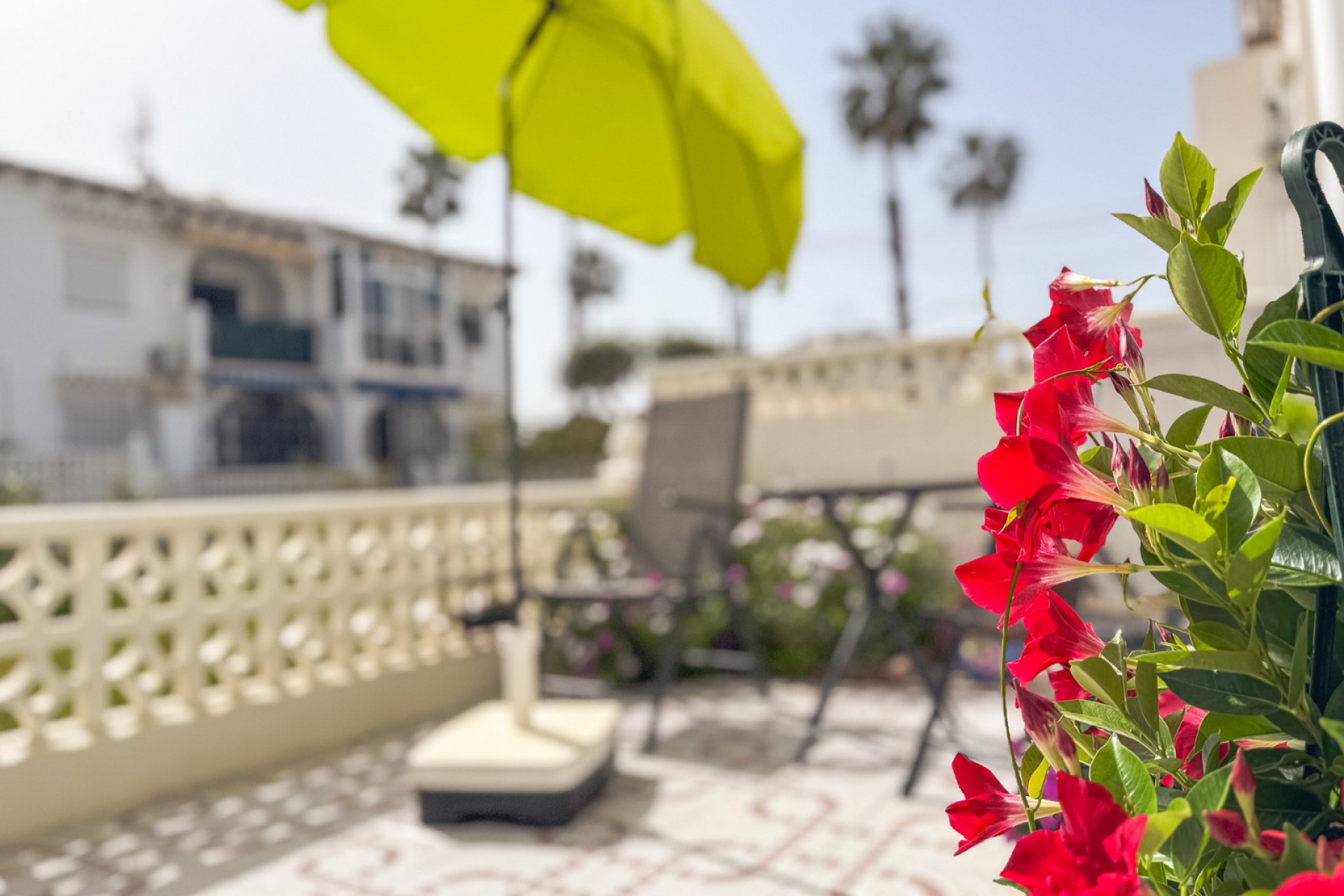 Återförsäljning - Bungalow -
Torrevieja - Costa Blanca