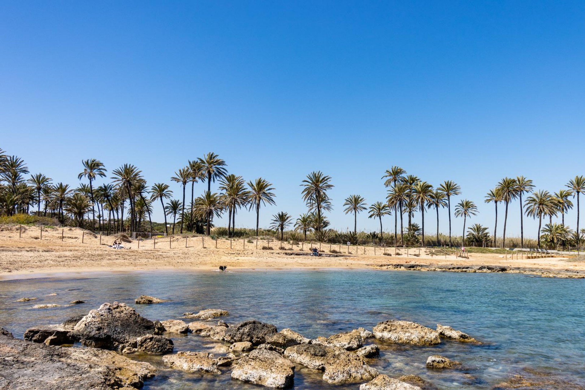 Återförsäljning - Bungalow -
Torrevieja - Costa Blanca